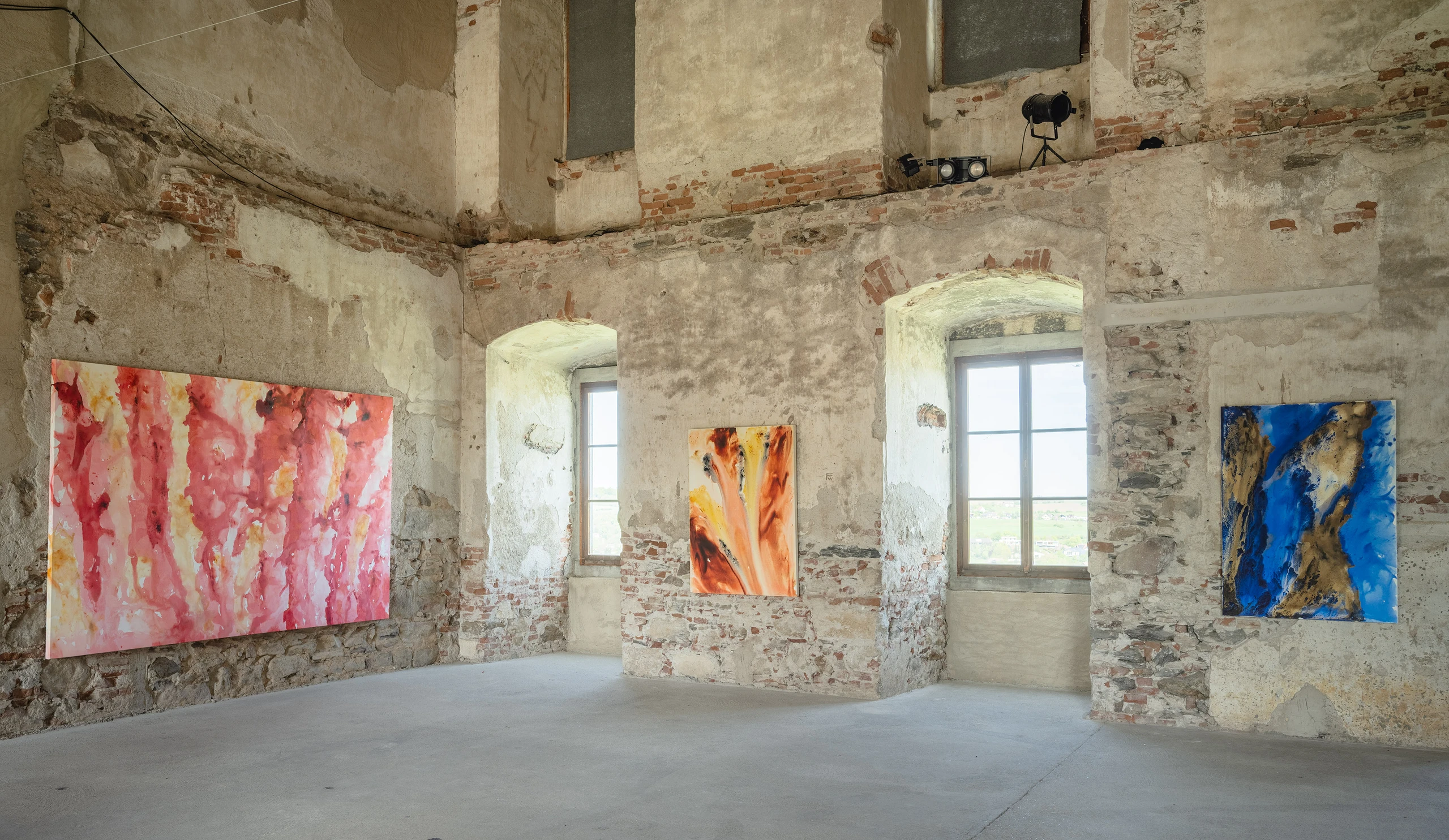 Bild