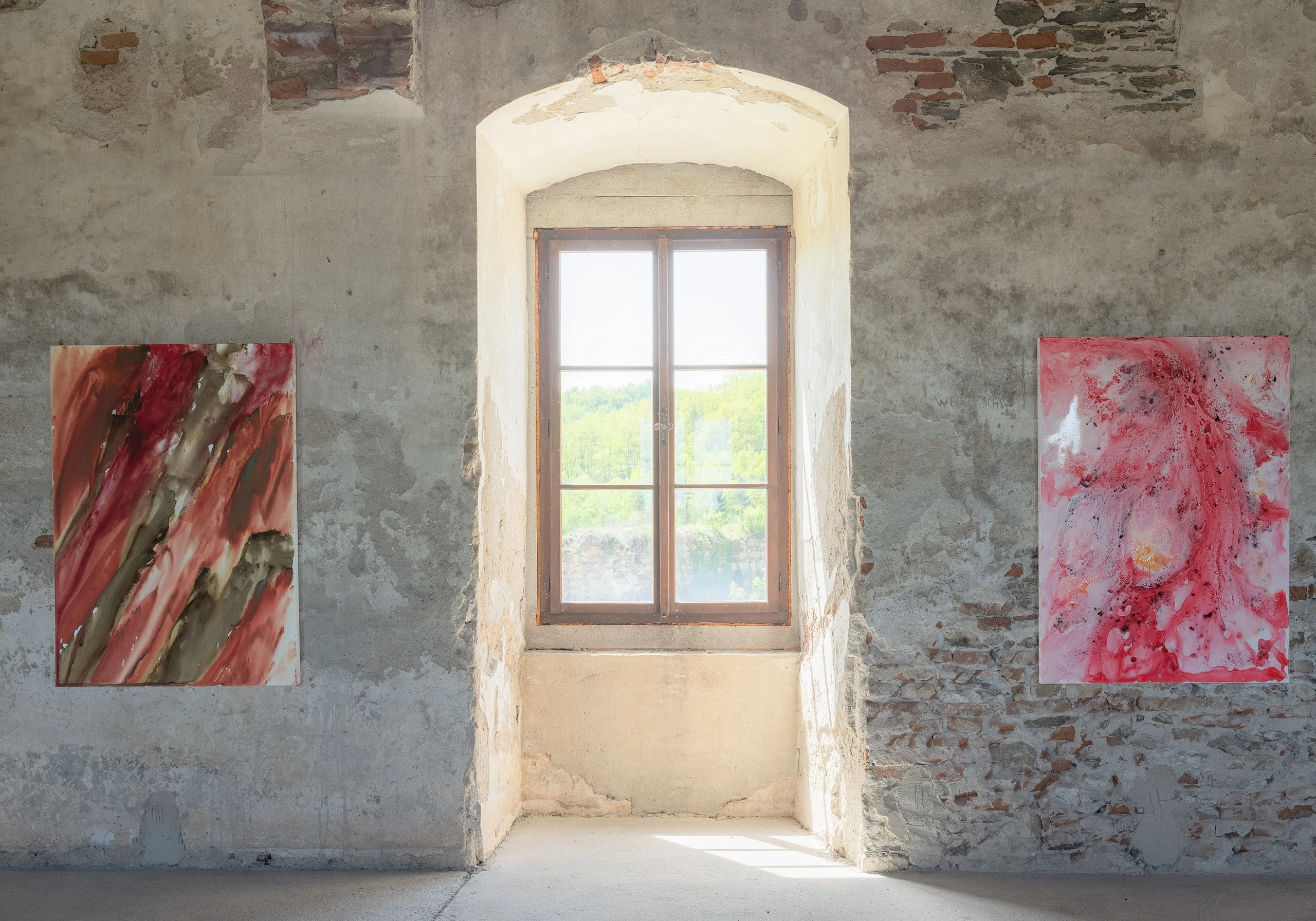 Bild