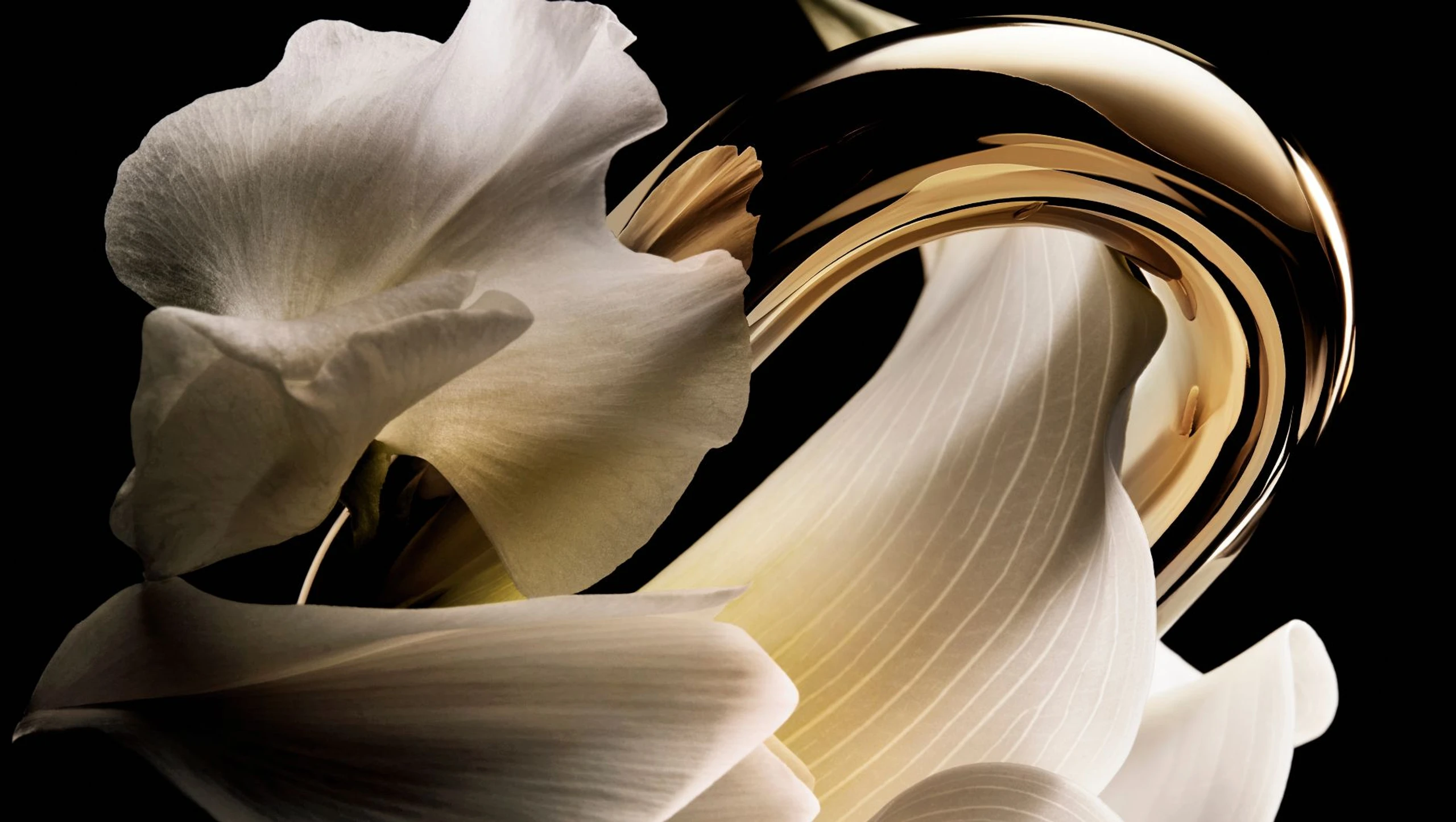 Blurred image background