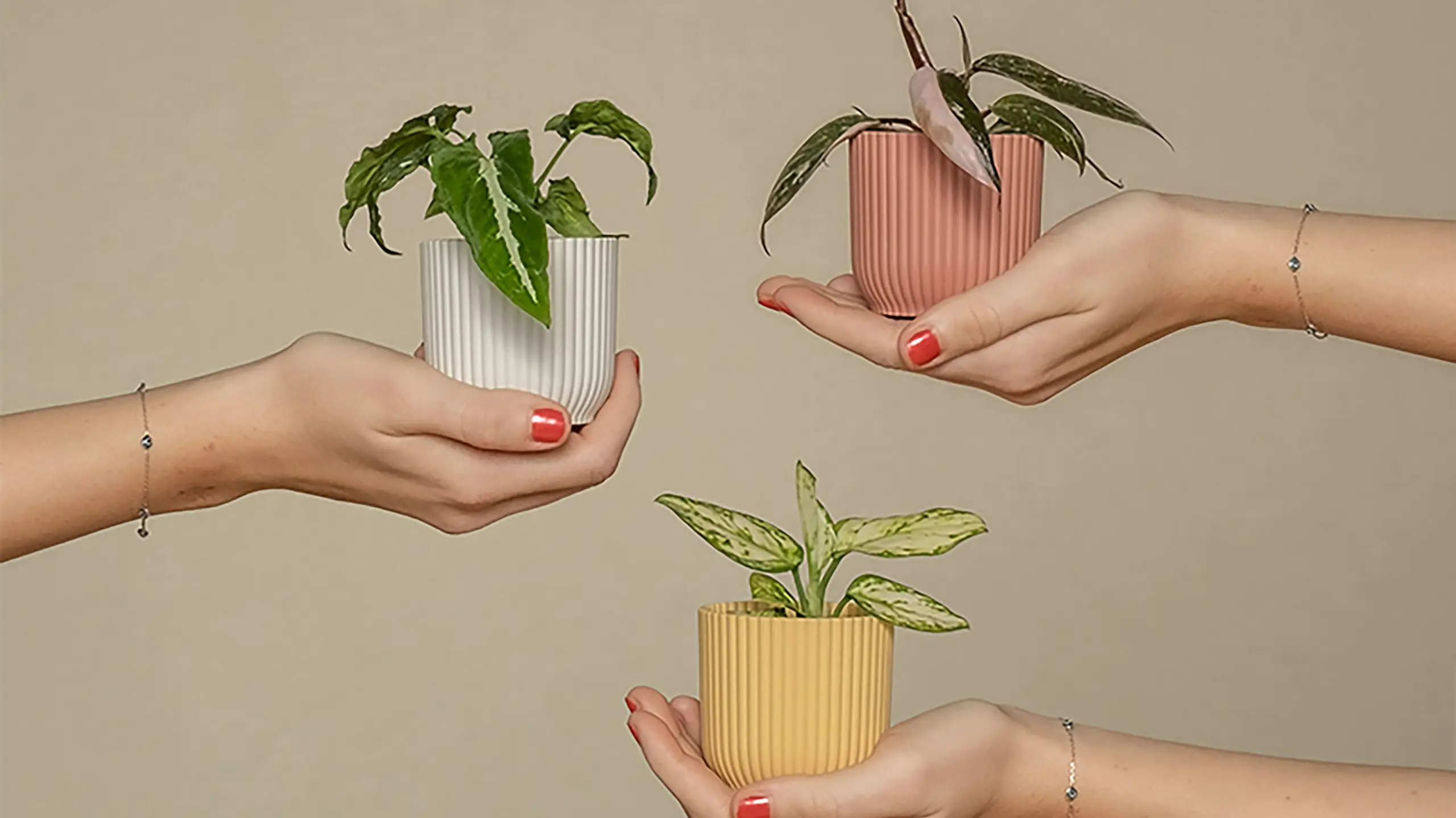 Hände, die Pflanzen in Töpfen halten