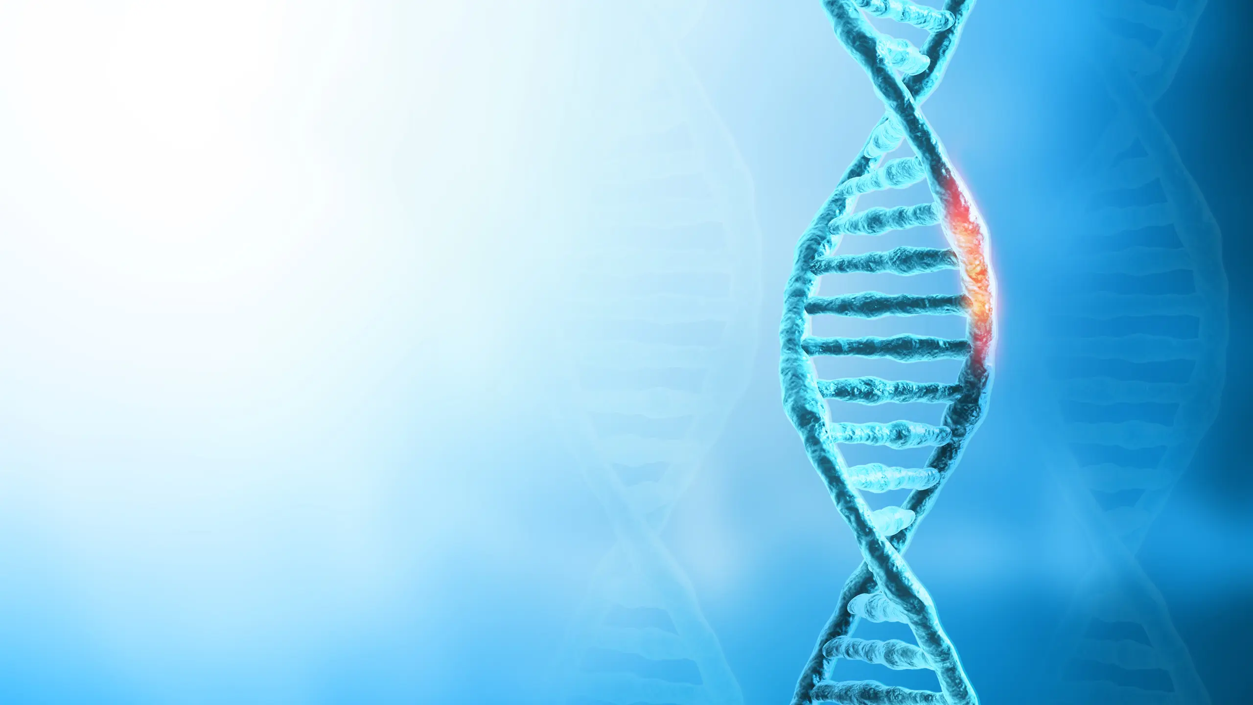 © Getty Images Artikelbild