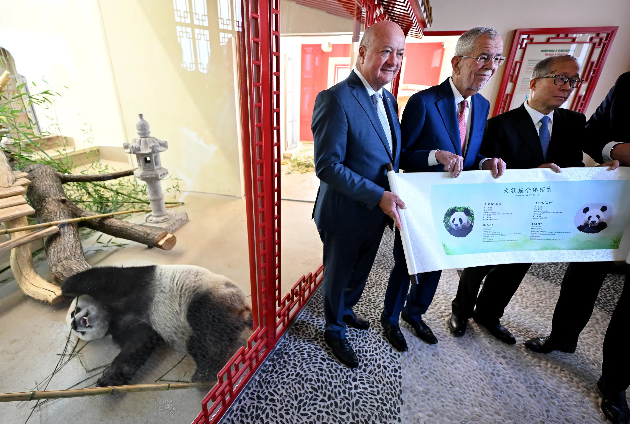 Tiergarten Schönbrunn: Wo Pandas Politik machen