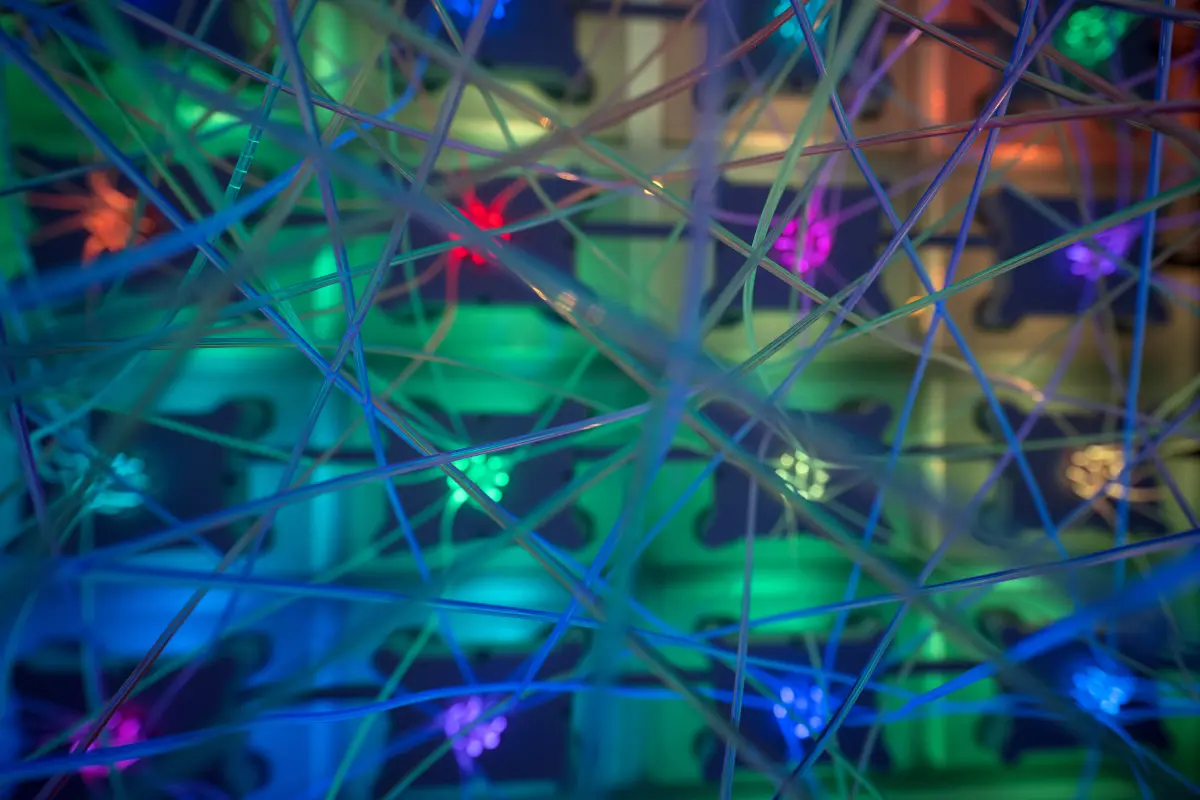 Ein Blick in ein Modell eines neuronalen Netzwerkes