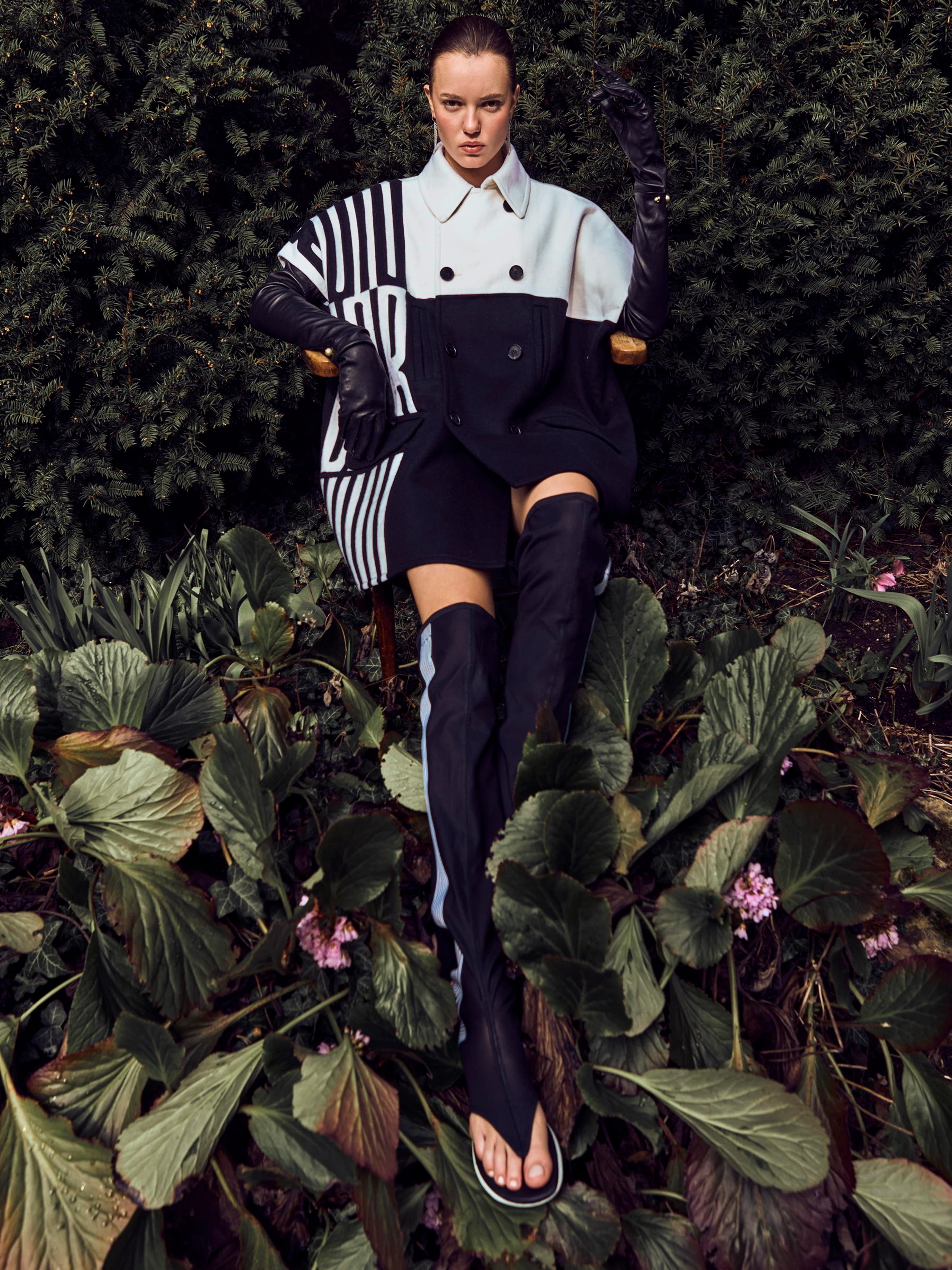 Blurred image background