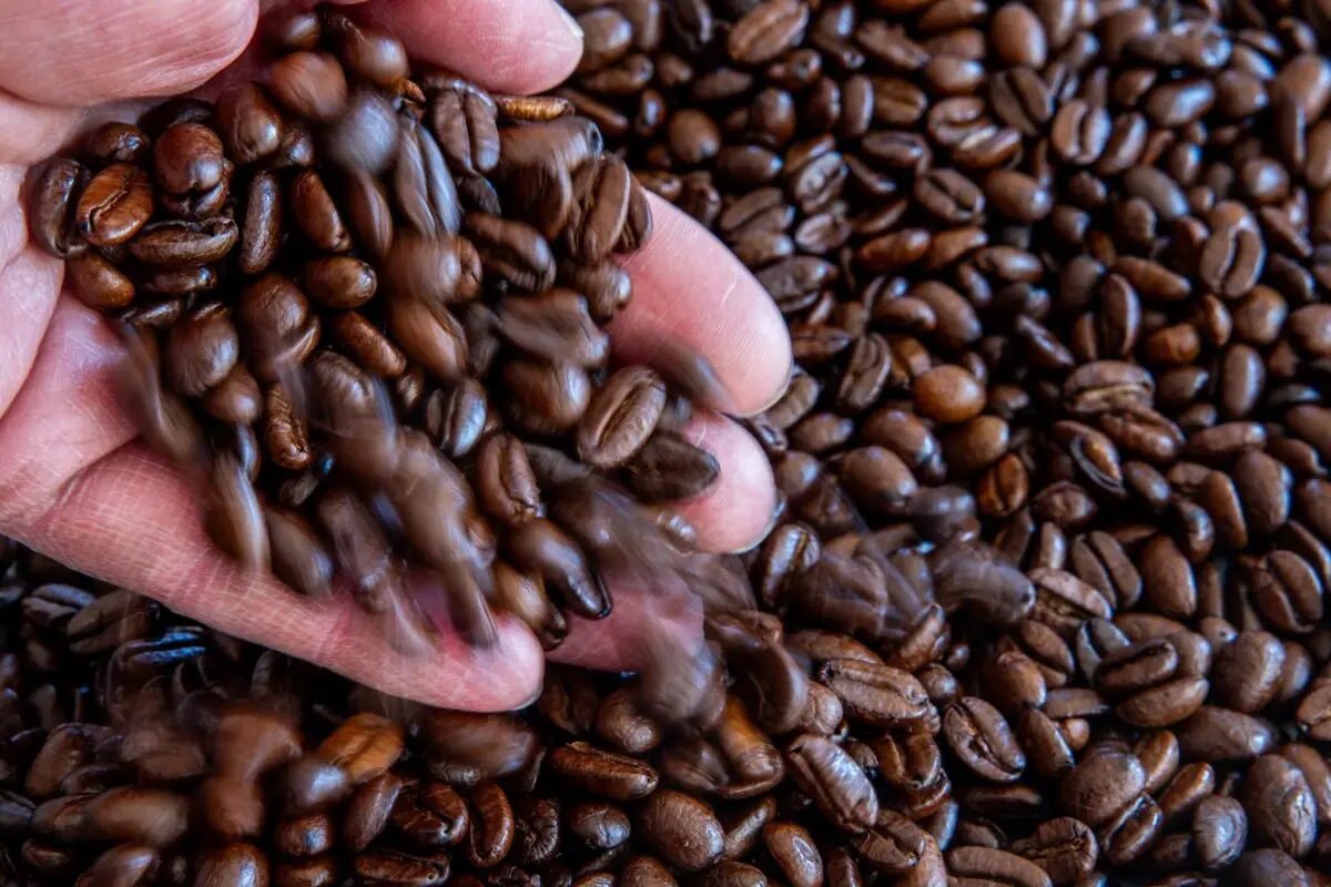 Die verarbeitete Kaffeebohne ist wichtiger Bestandteil im Leben der Österreicher