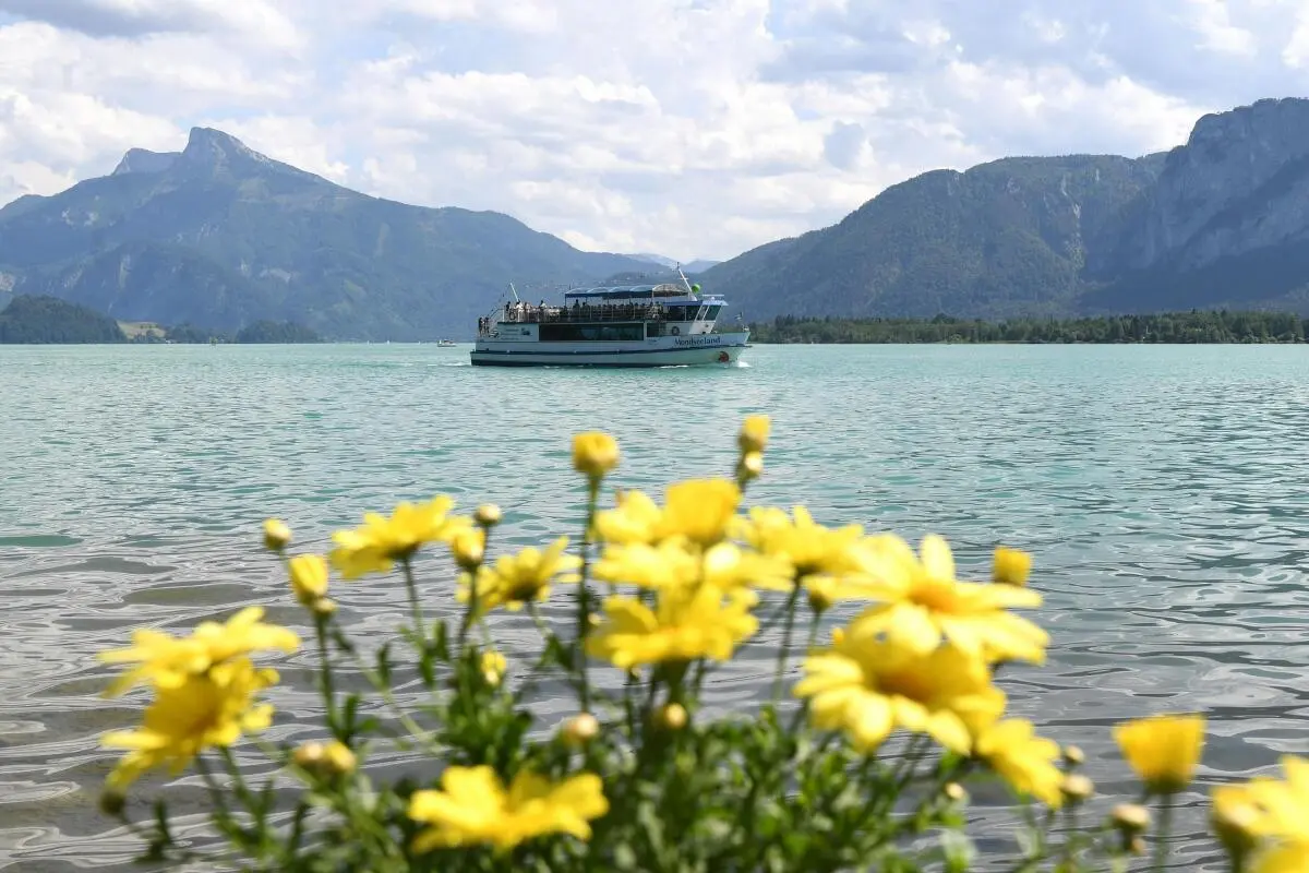 Testgebiet war der Mondsee