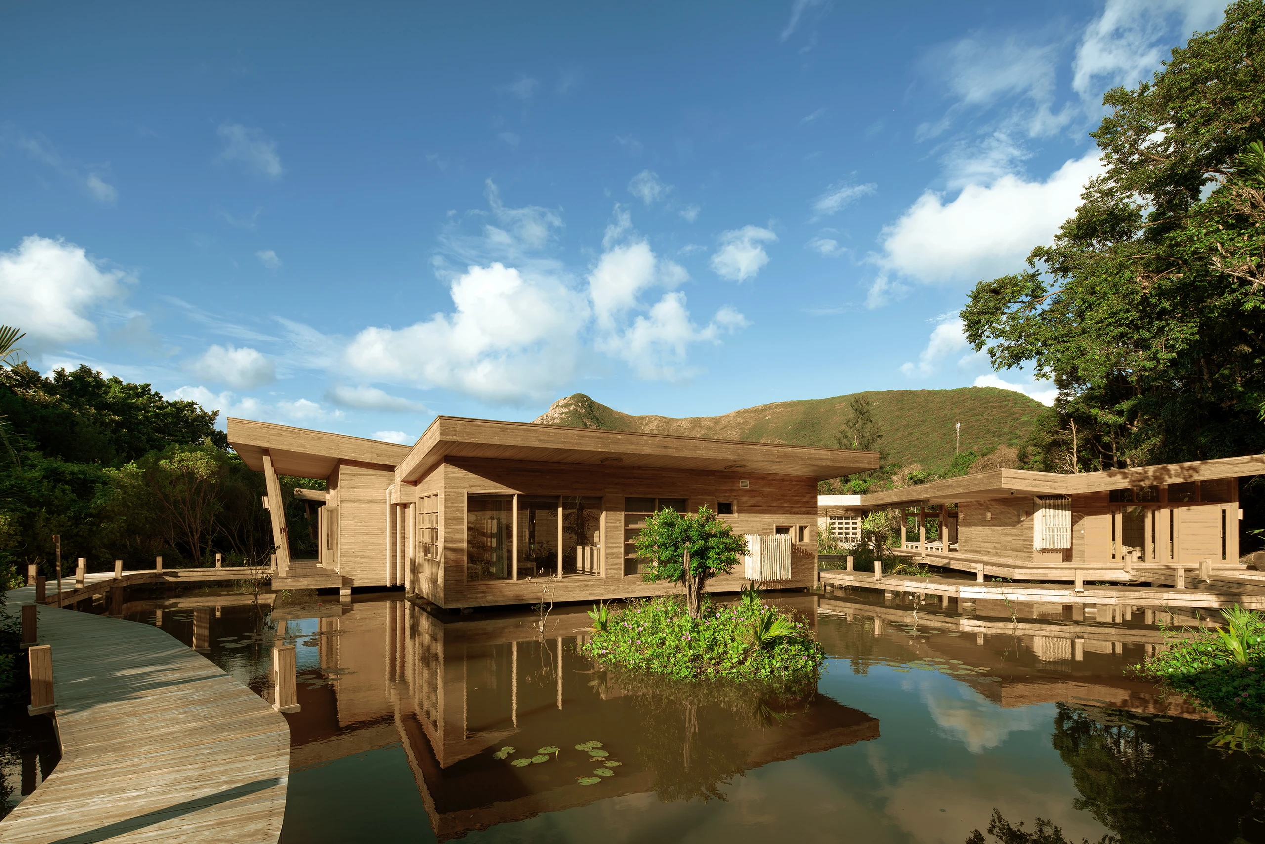 Blurred image background