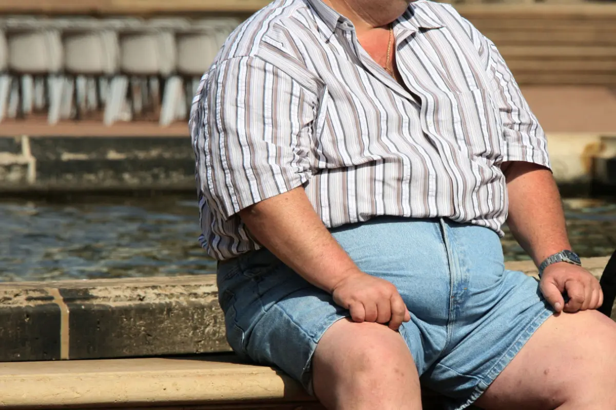 Taille-Größe-Relation offenbar entscheidend für Gefährdung