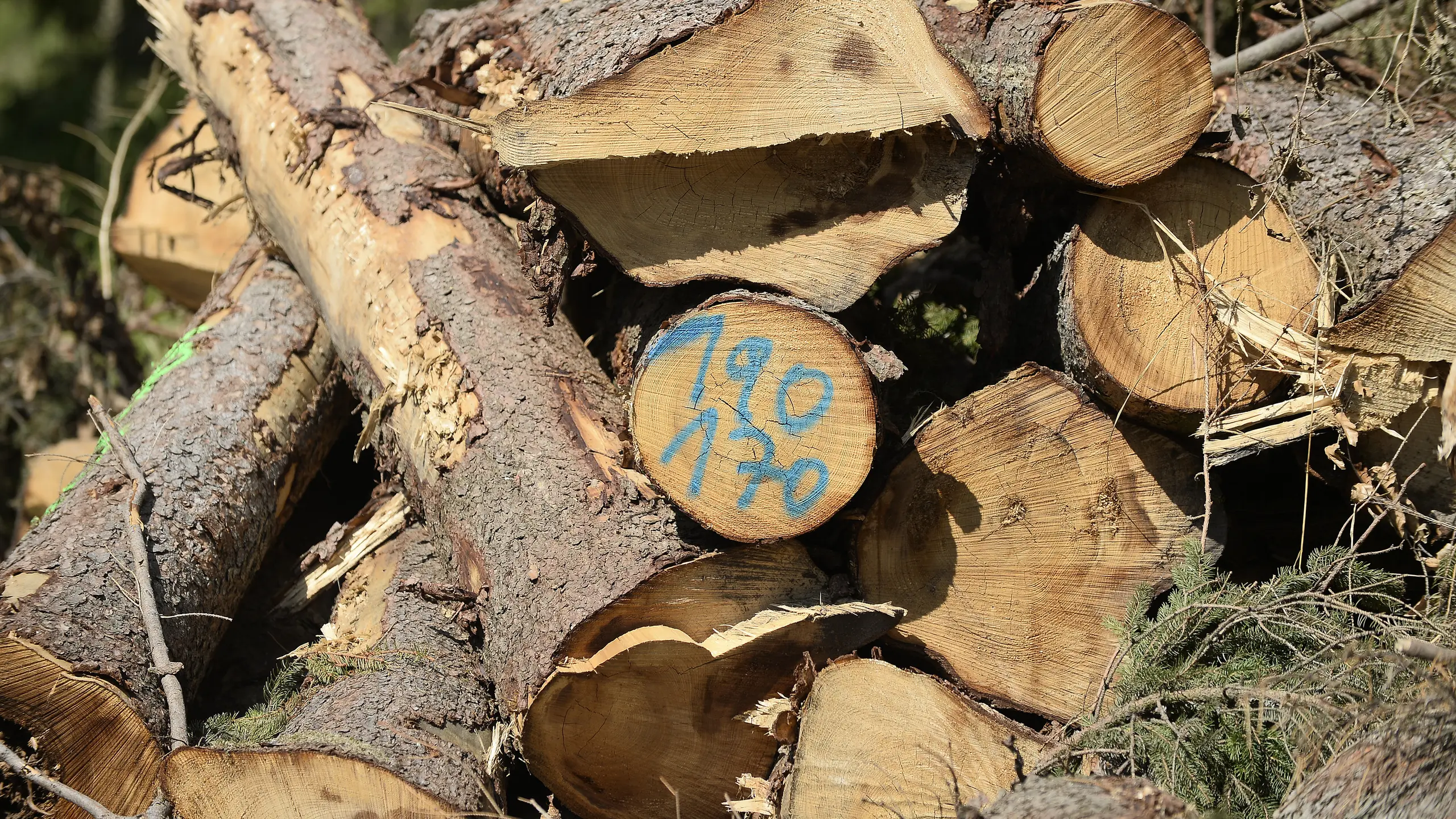 © APA/HERBERT PFARRHOFER Artikelbild