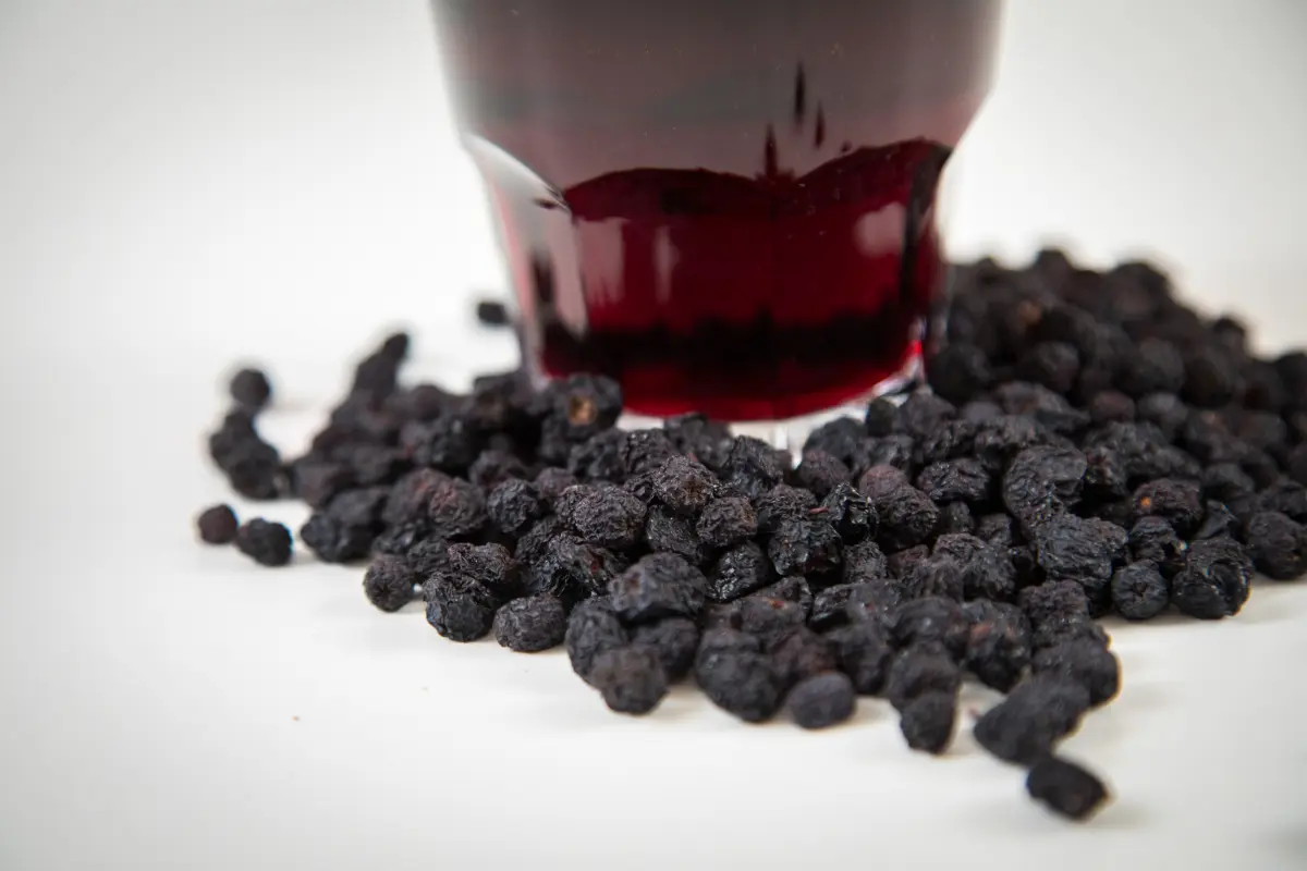 Aroniabeeren gelten als Superfood, sind aber auch nicht gesünder als Heidelbeeren