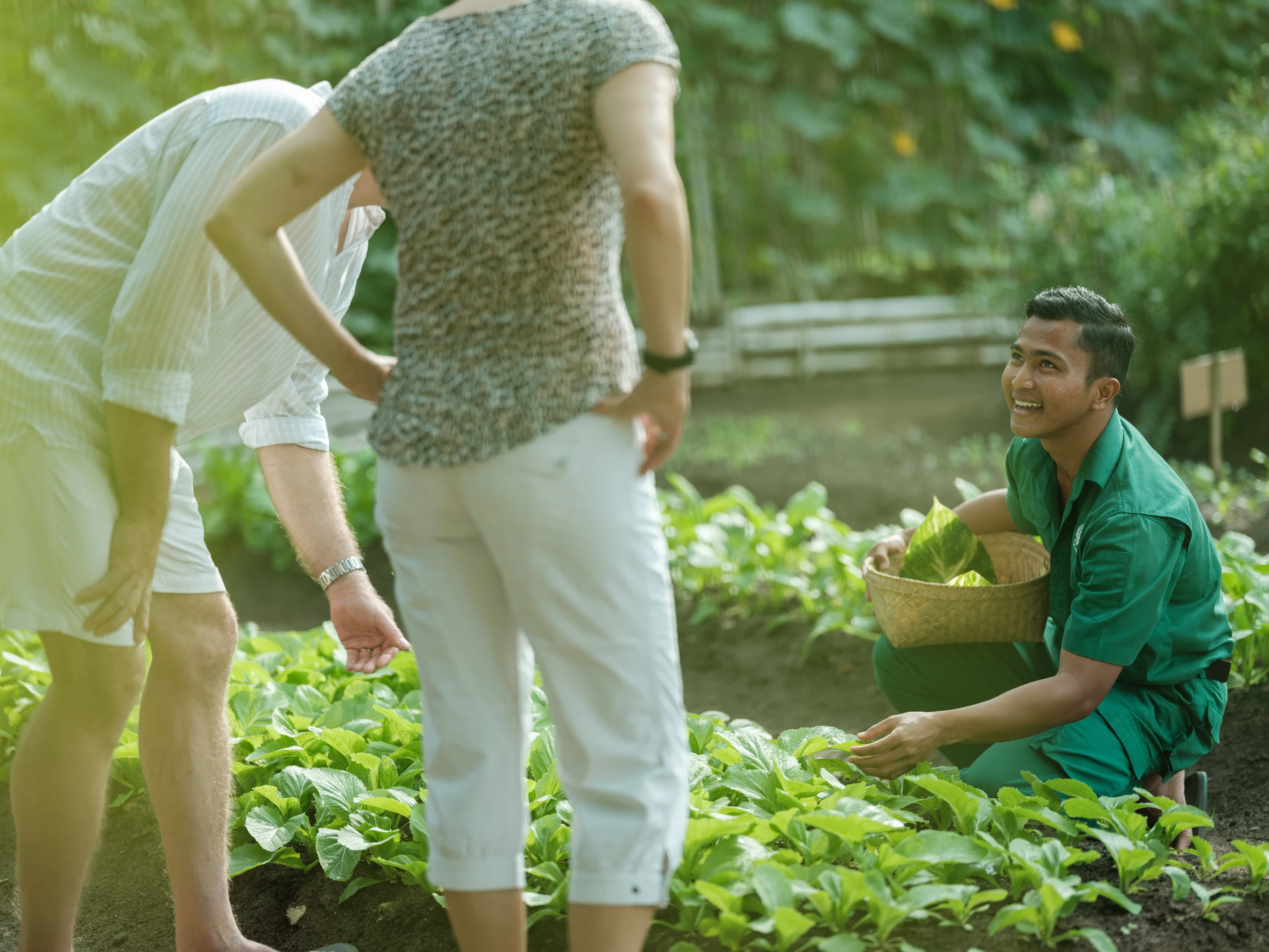 © Waldburg-PR Blurred image background