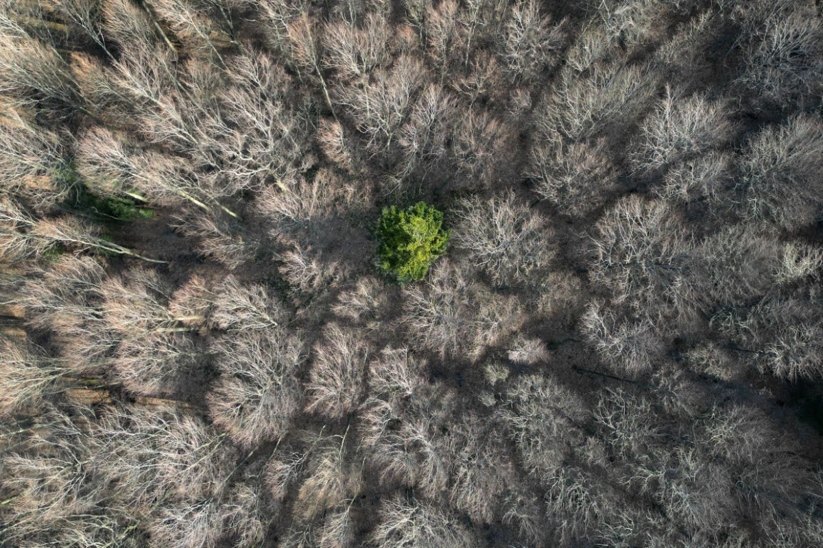 Die EU-Kommission rechnet mit der Erreichung der 2030er-Klimaziele