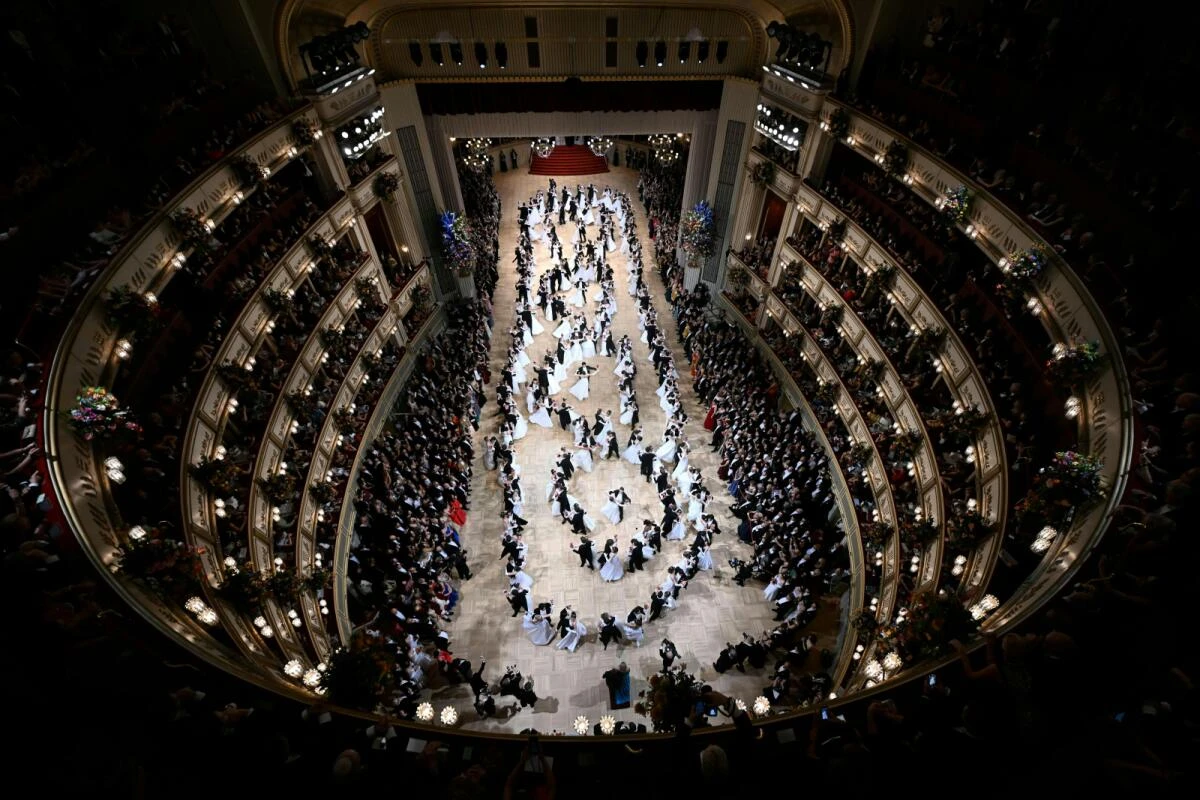 Andrang zum Wiener Opernball enorm