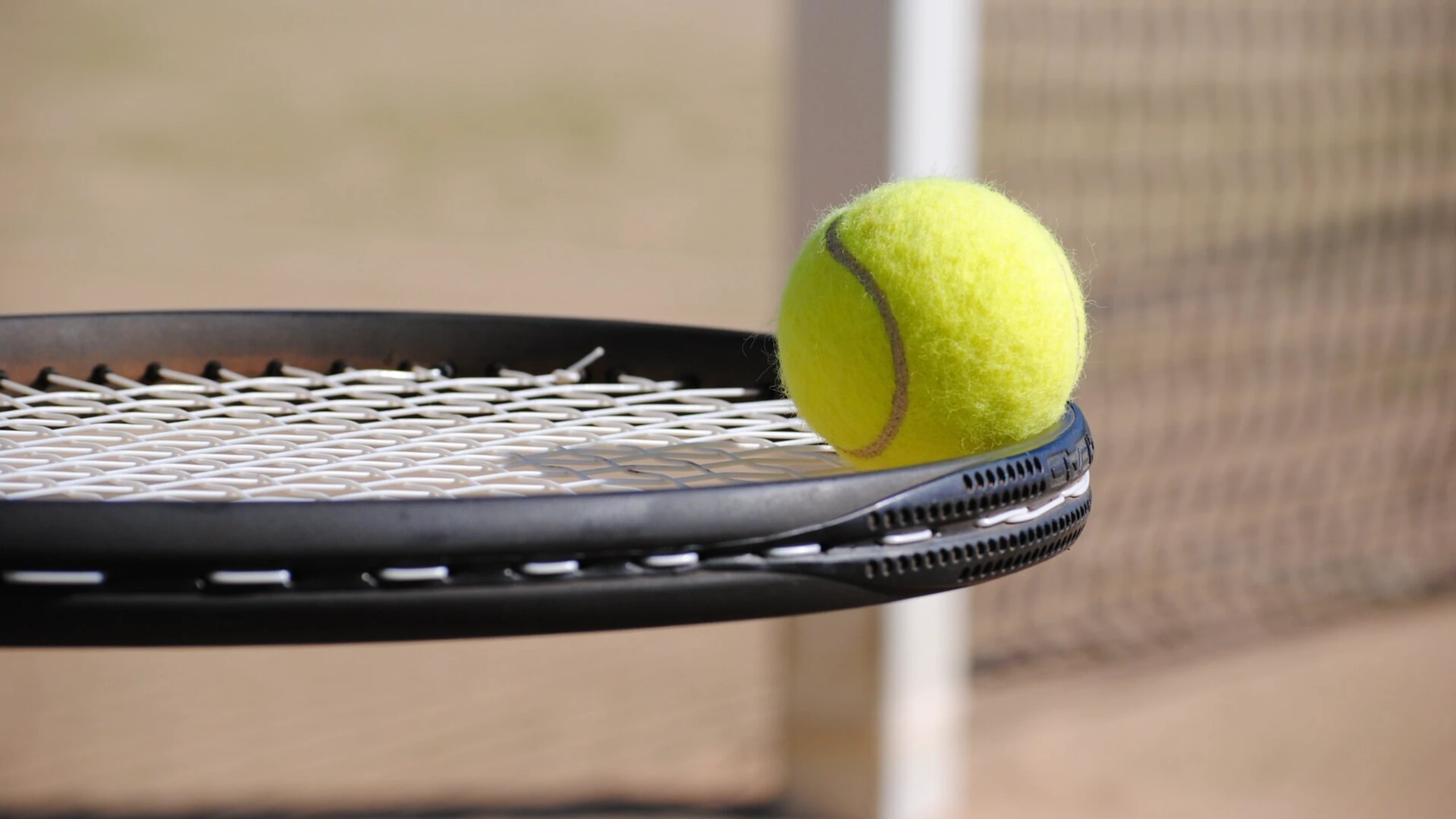 Tennis: ATP & WTA