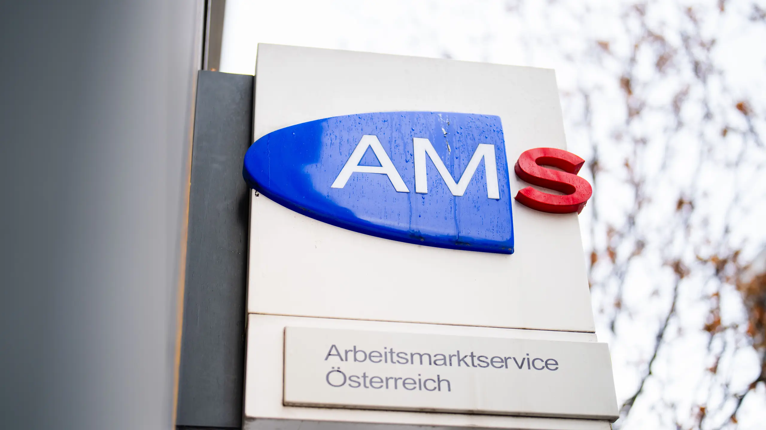 © APA/Georg Hochmuth Artikelbild