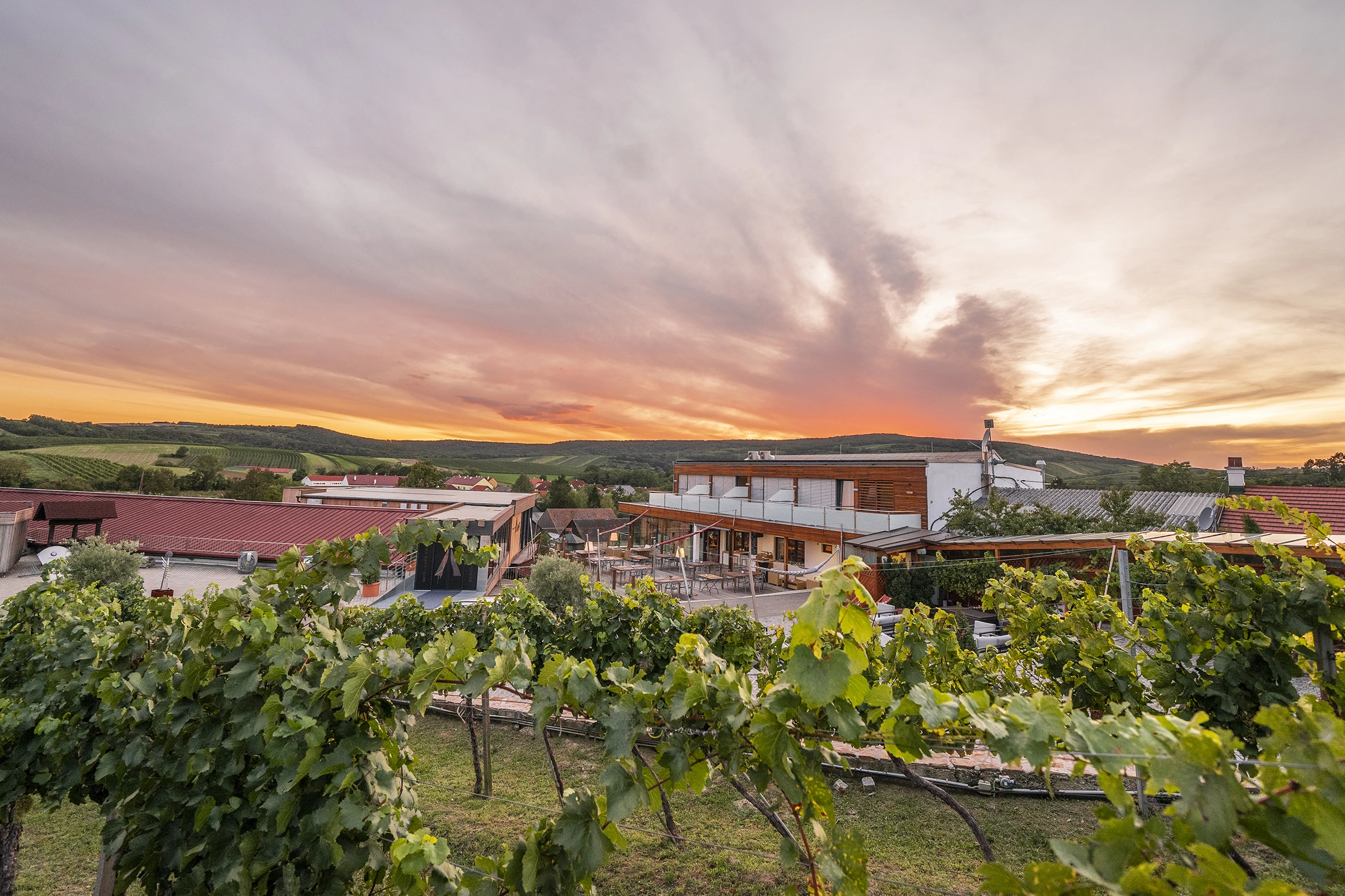 © Weingut Hagn - Stefanie Winter Blurred image background