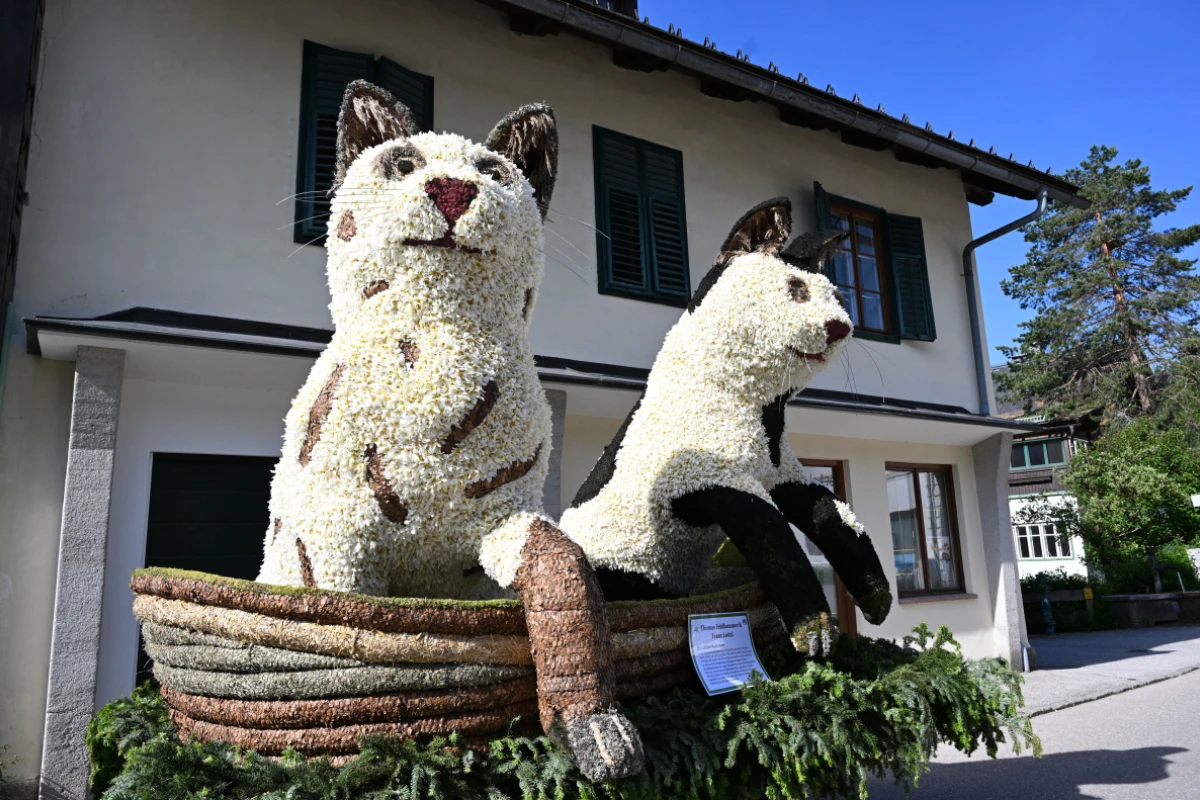 Das 66. Narzissenfest findet von 28. bis 31. Mai in Bad Aussee statt