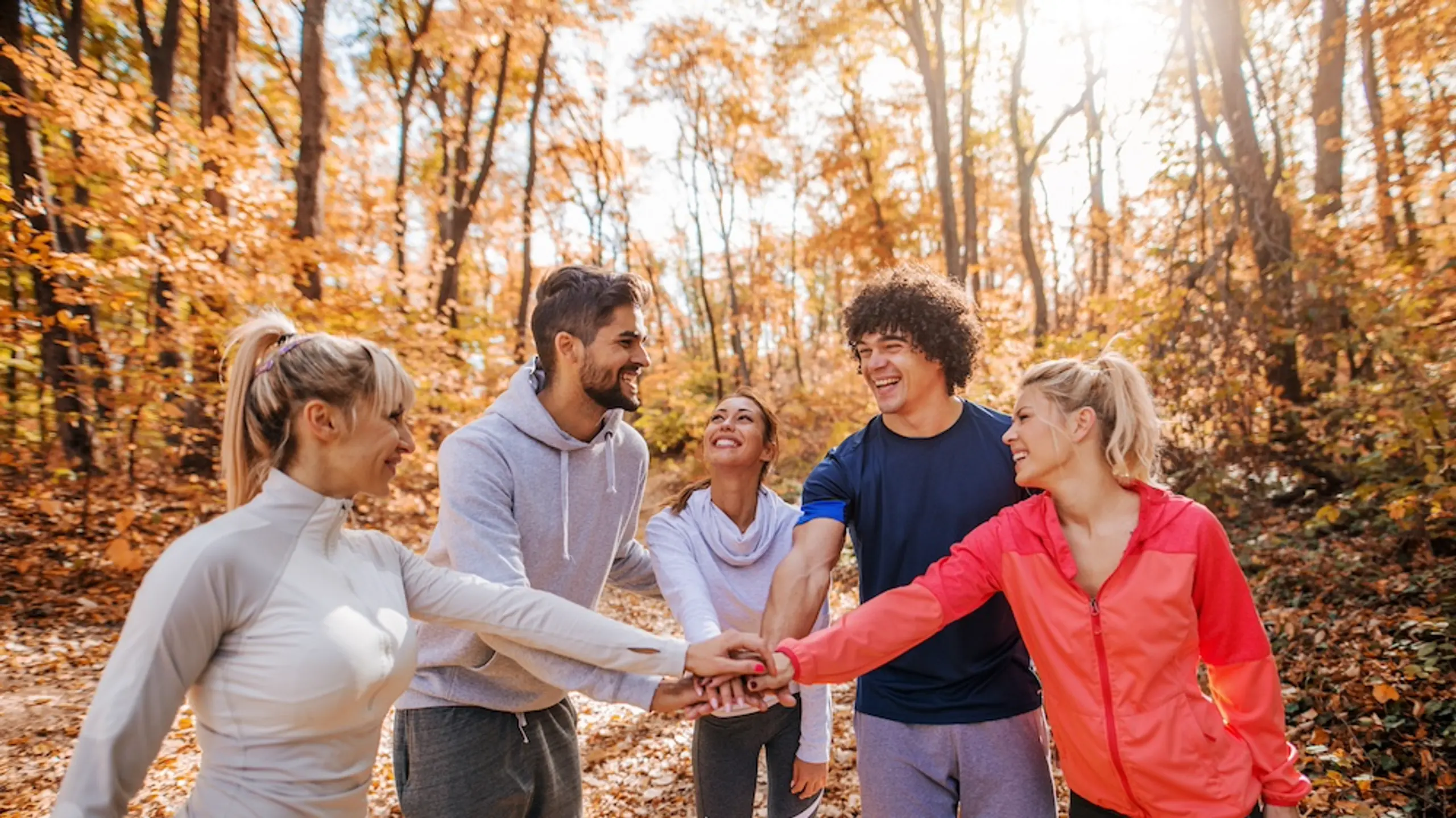© dusanpetkovic | iStock Artikelbild