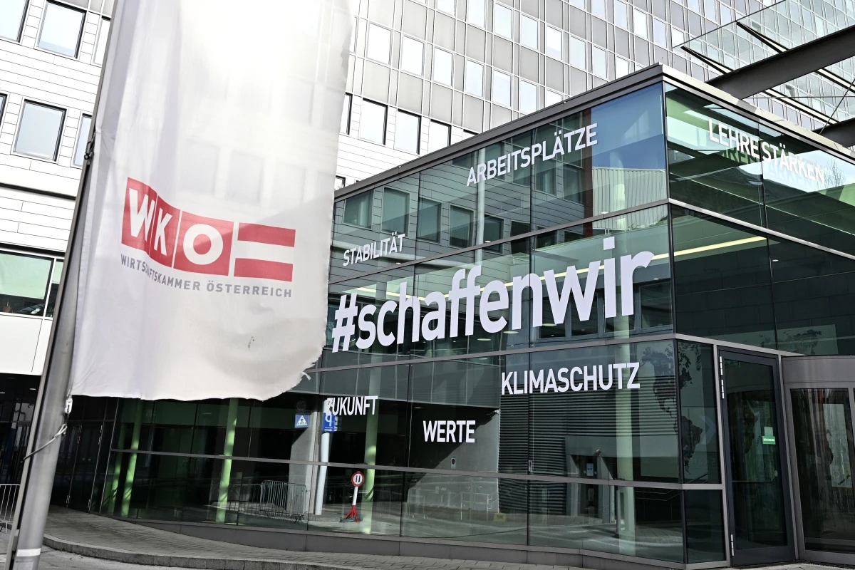 WKÖ, OeAD und IFA registrieren mehr Interesse