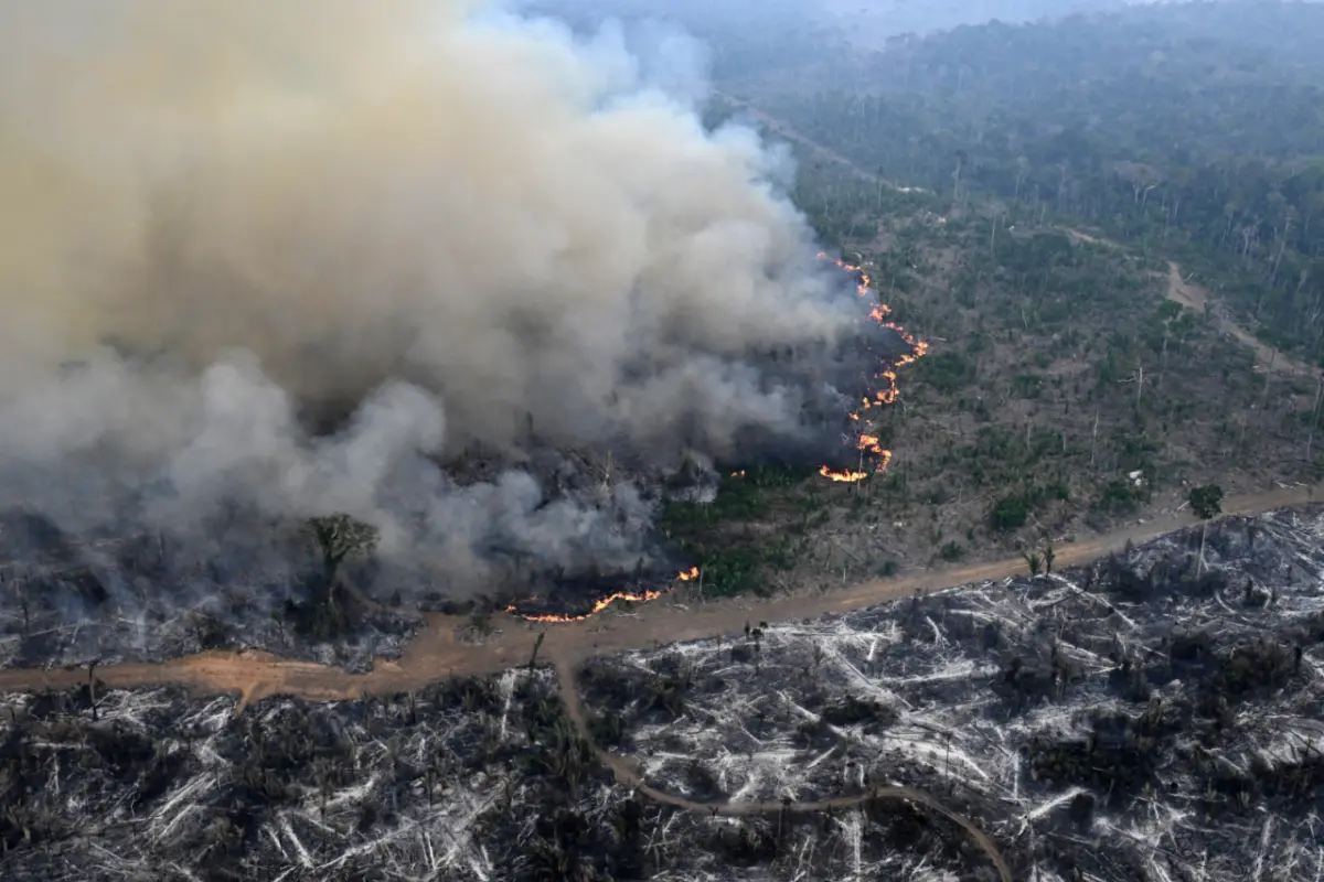 Im Mai brannte es in Lábrea im Teilstaat Amazonas