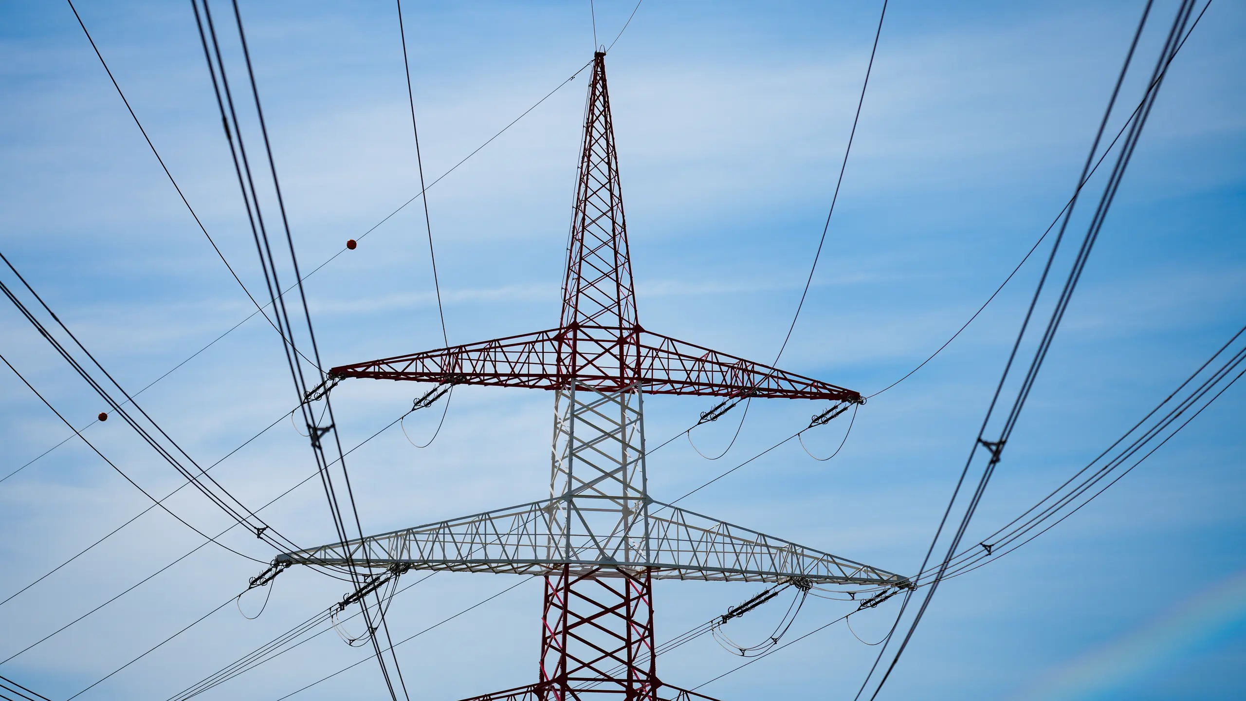 © APA/EVA MANHART Strommast