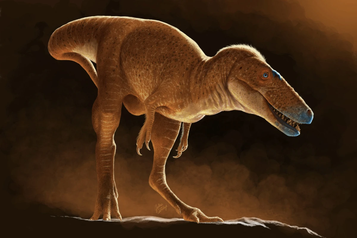 Der Khankhuuluu mongoliensis