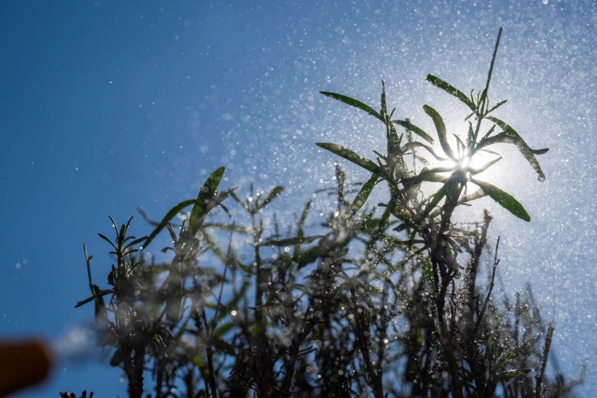 Temperaturen in Österreich steigen schneller als im globalen Schnitt