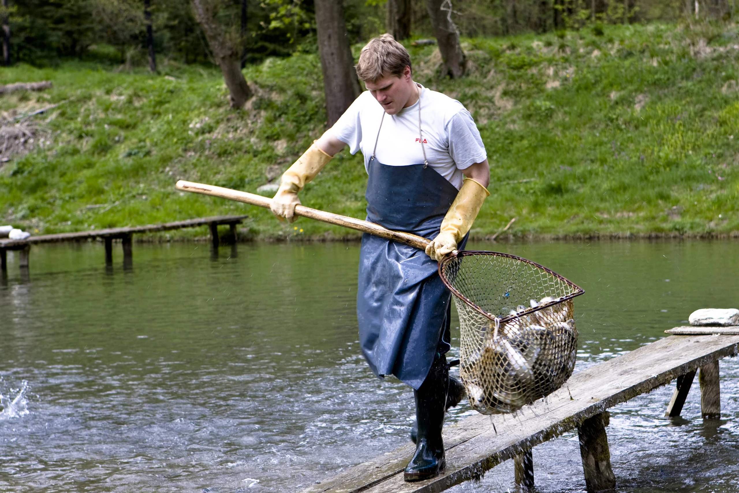 Fischzucht in der Steiermark: Nachhaltiger Genuss aus heimischen Gewässern