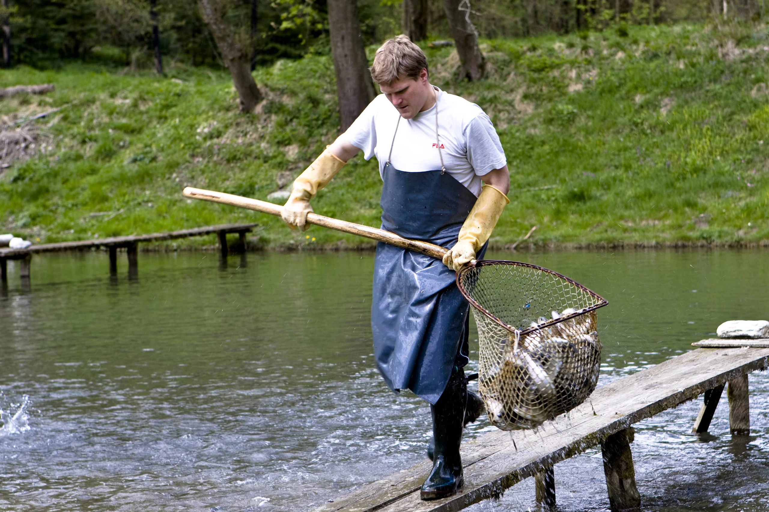 Fischzucht in der Steiermark: Nachhaltiger Genuss aus heimischen Gewässern