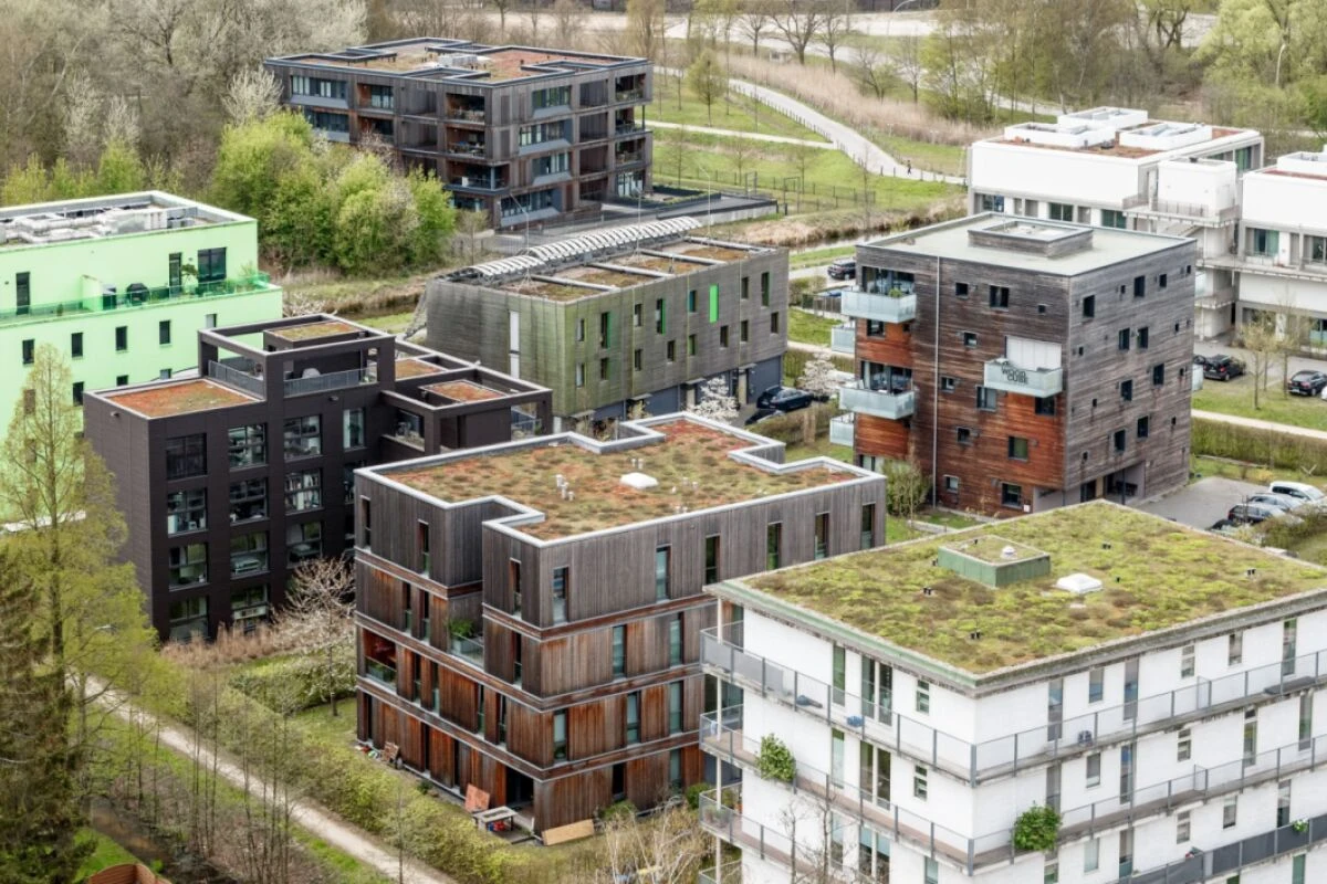 ++ ARCHIVBILD ++ Pflanzen auf dem Dach speichern Feuchtigkeit und geben sie langsam ab