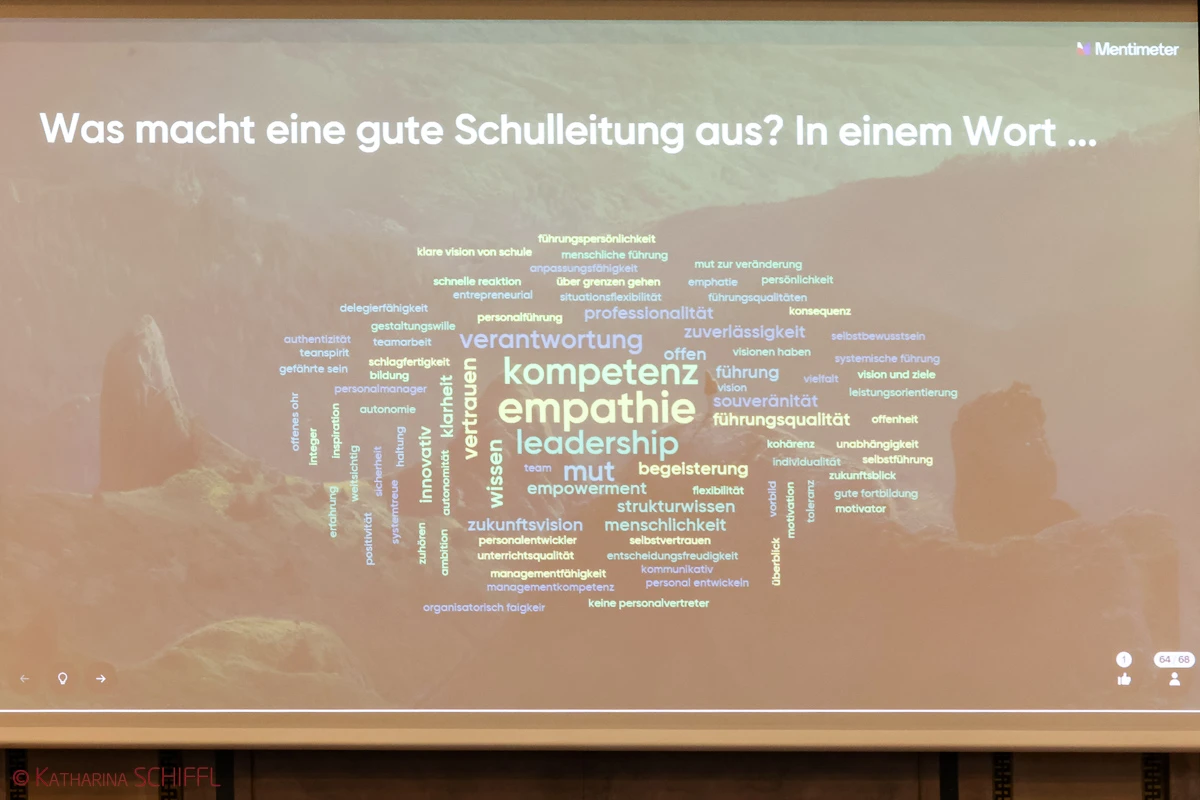 Bild