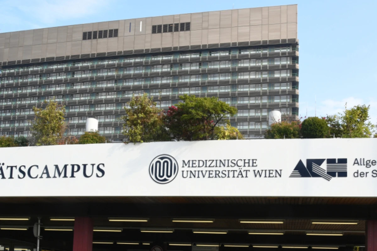 Zahlreiche Unterschiede bei Symptomen, Formen und Risiken
