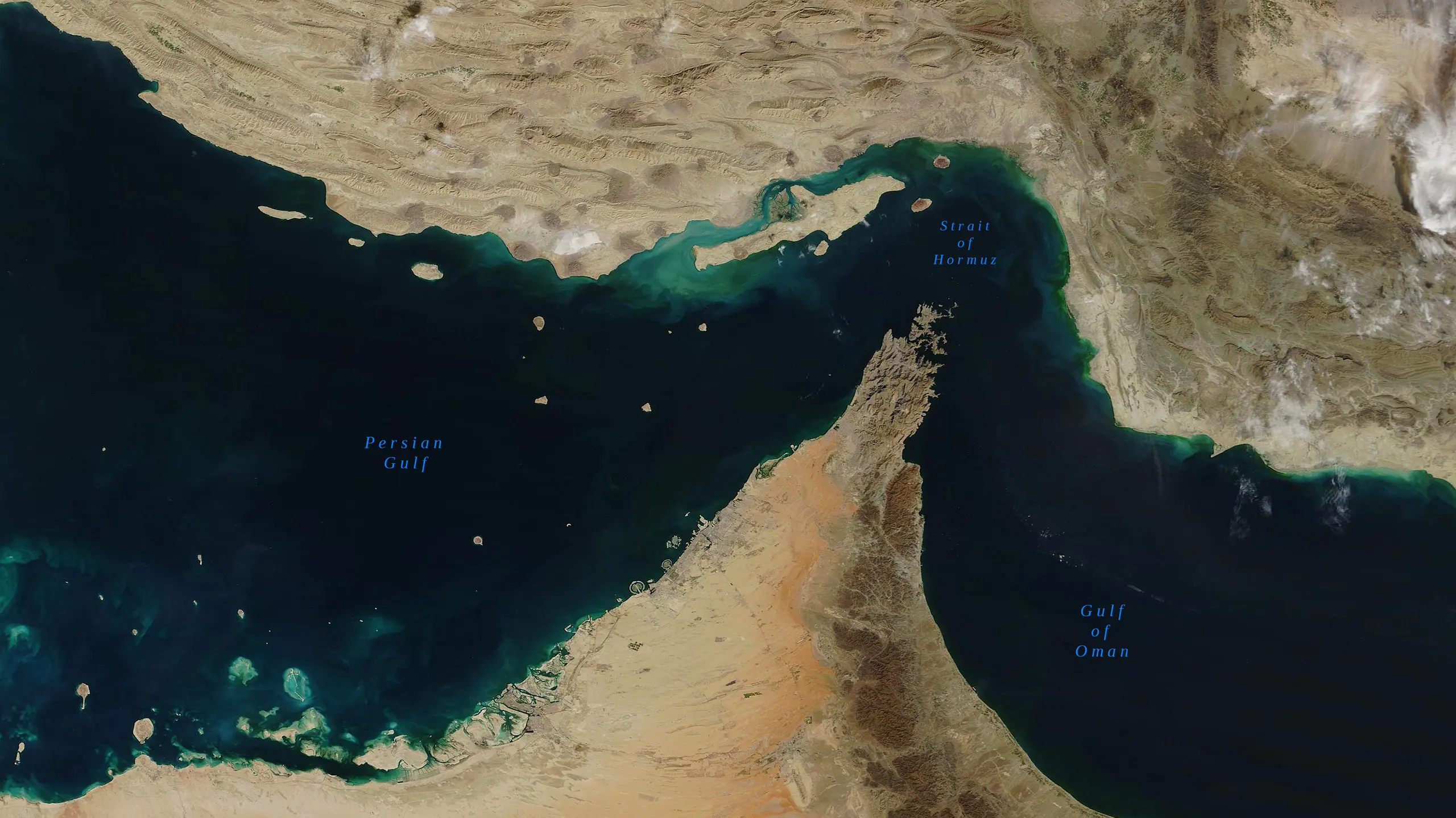 © Shutterstock Artikelbild