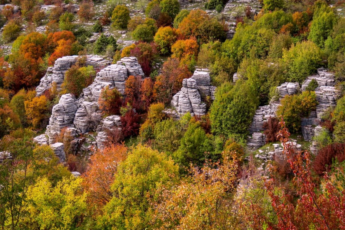 ++ ARCHIVBILD ++ Im Sommer spendet die Vegetation in der Schlucht Schatten