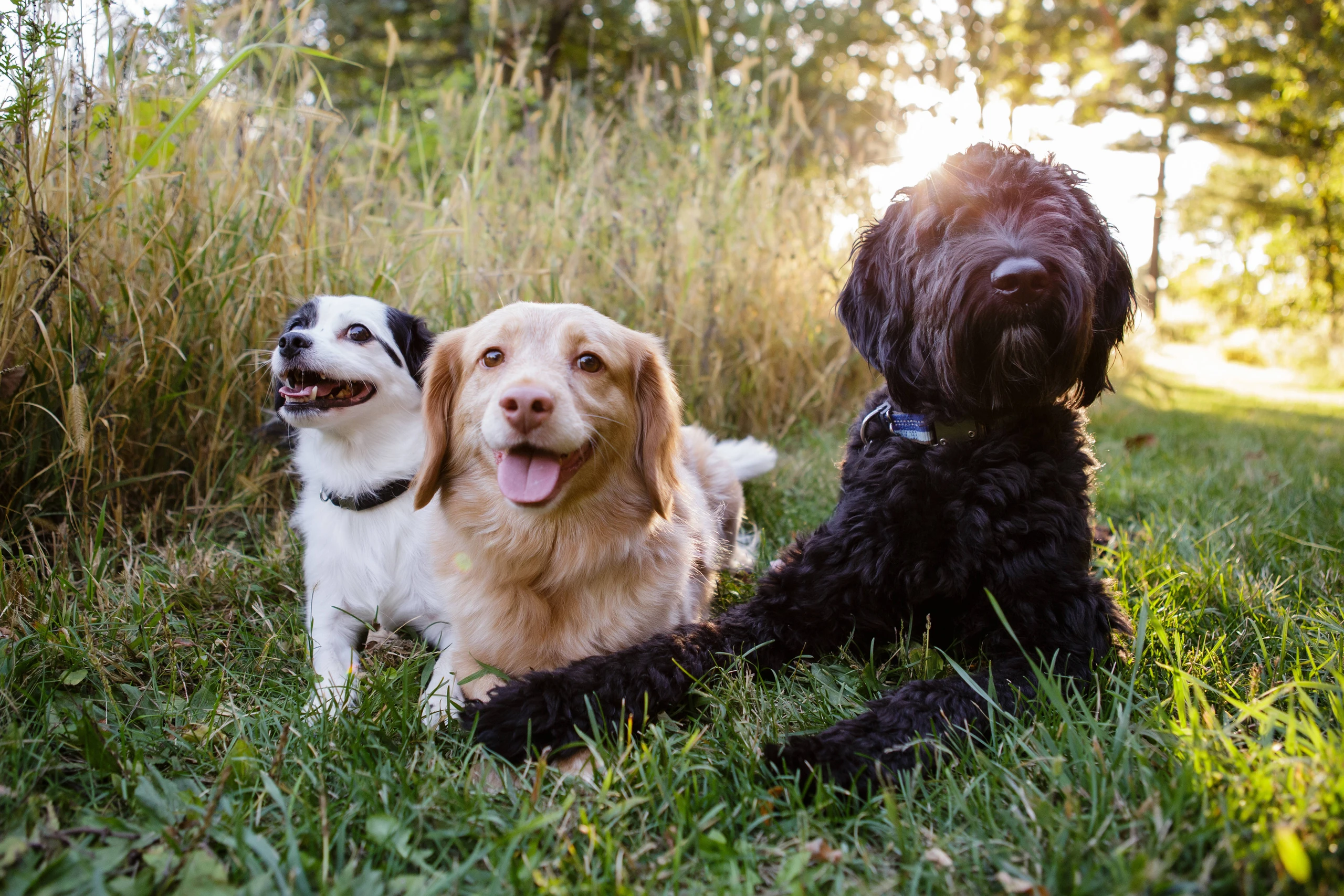 © IMAGO / Cavan Images Blurred image background