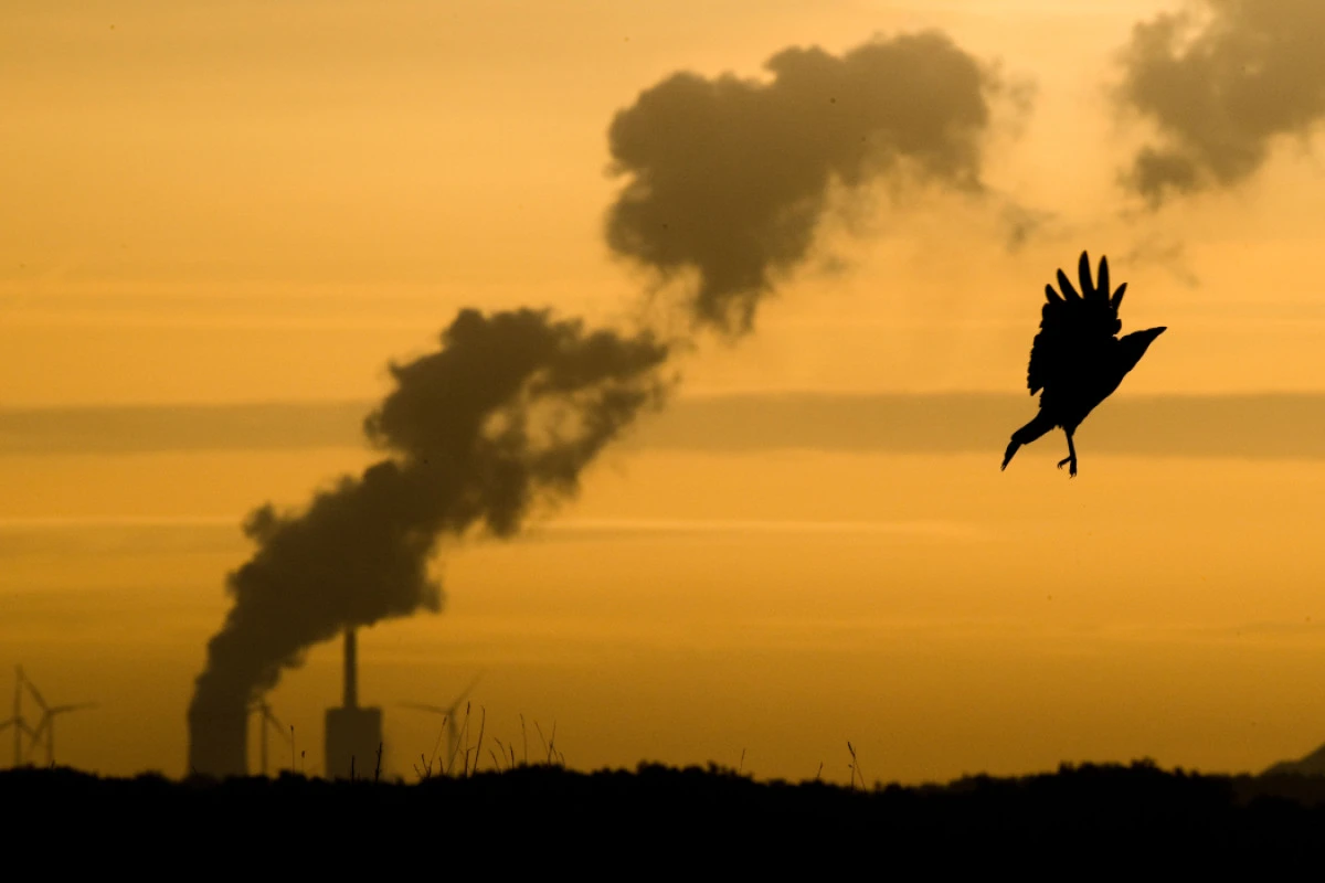 Bis 2050 will die EU klimaneutral werden