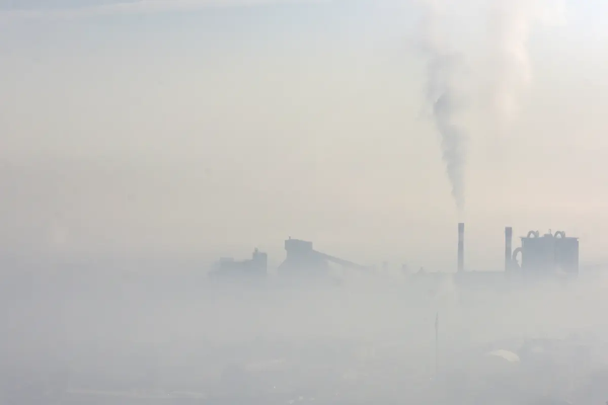 Industrieländer züchten chronisch Kranke
