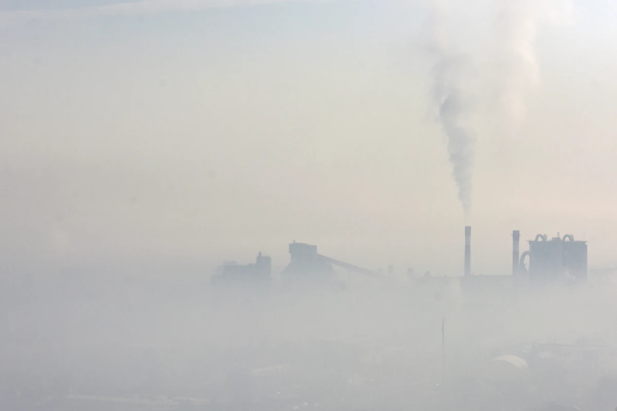 Industrieländer züchten chronisch Kranke