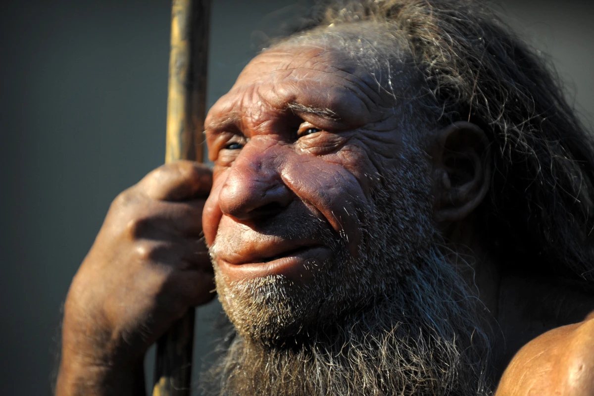 Nachbildung eines Neandertalers