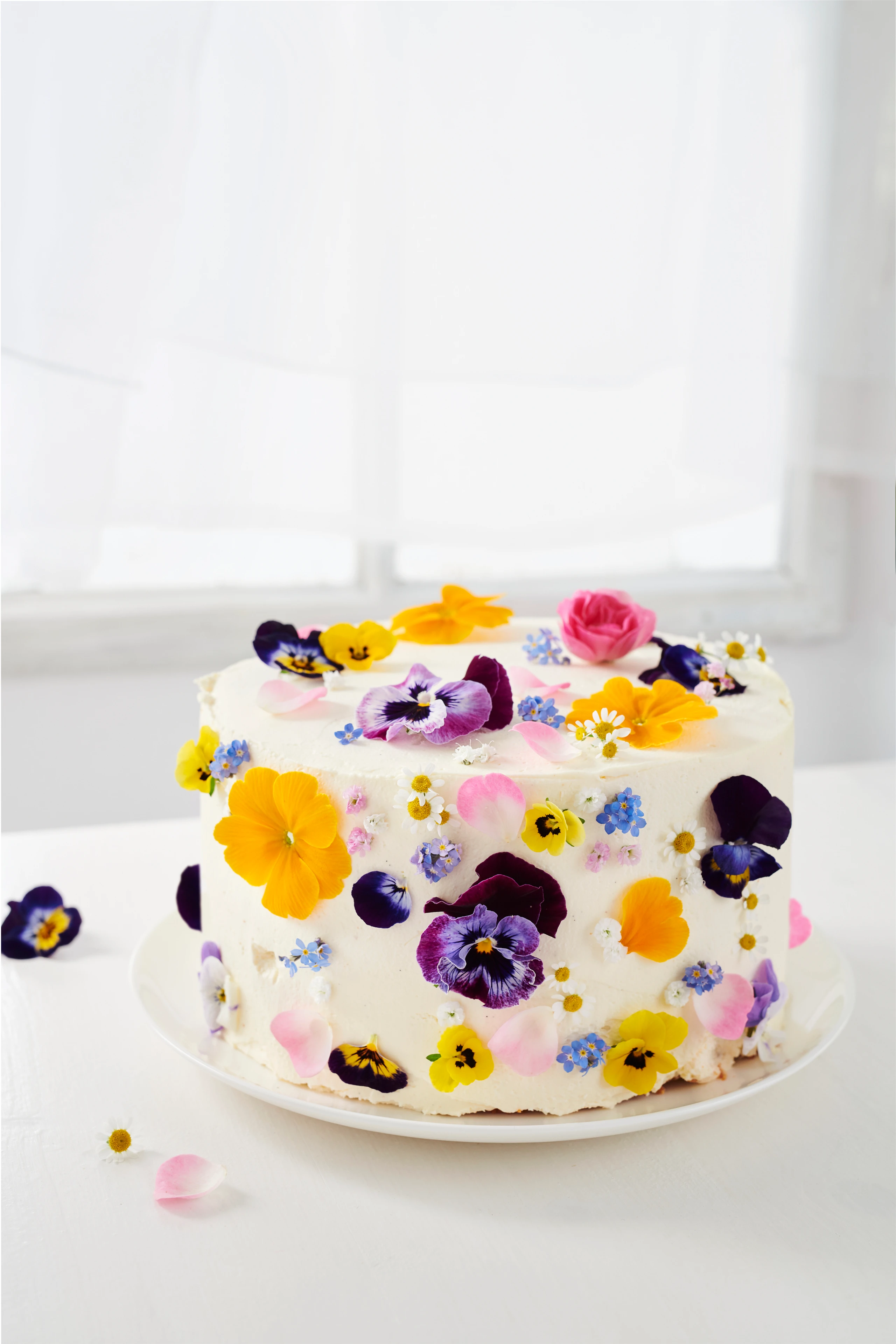 Himmlisches Blütenmeer