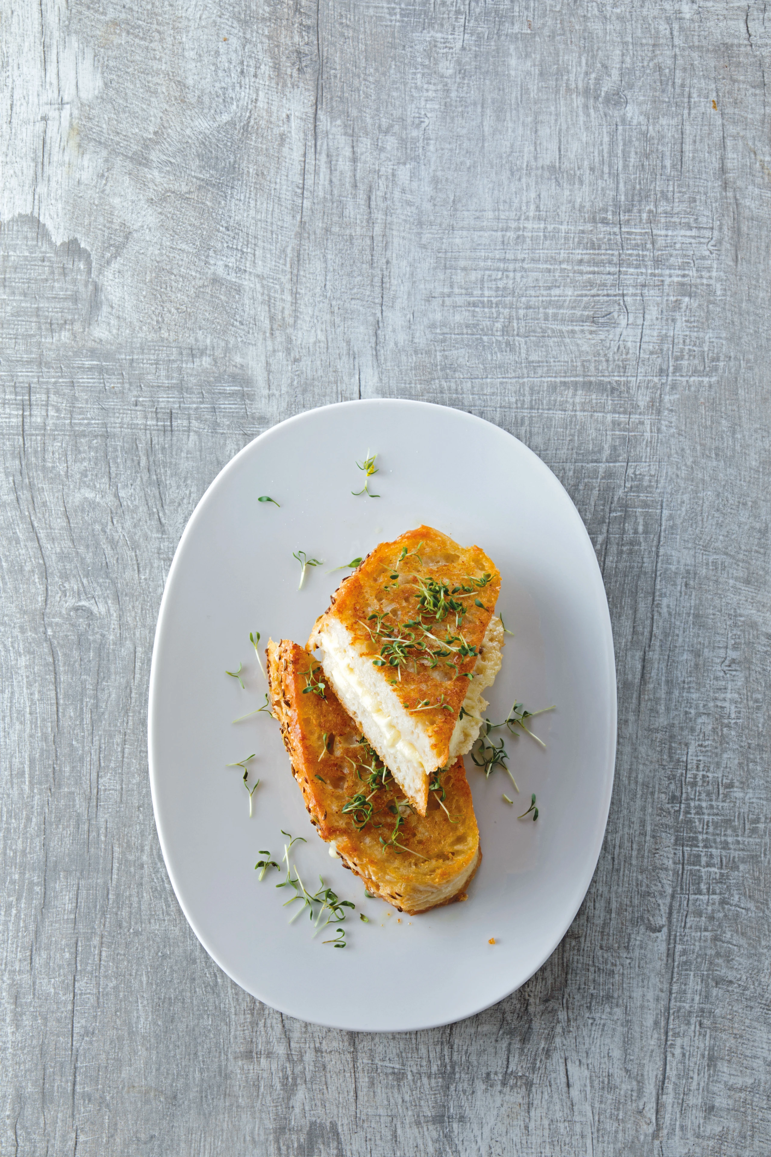 Gebratenes Käse-Sandwich