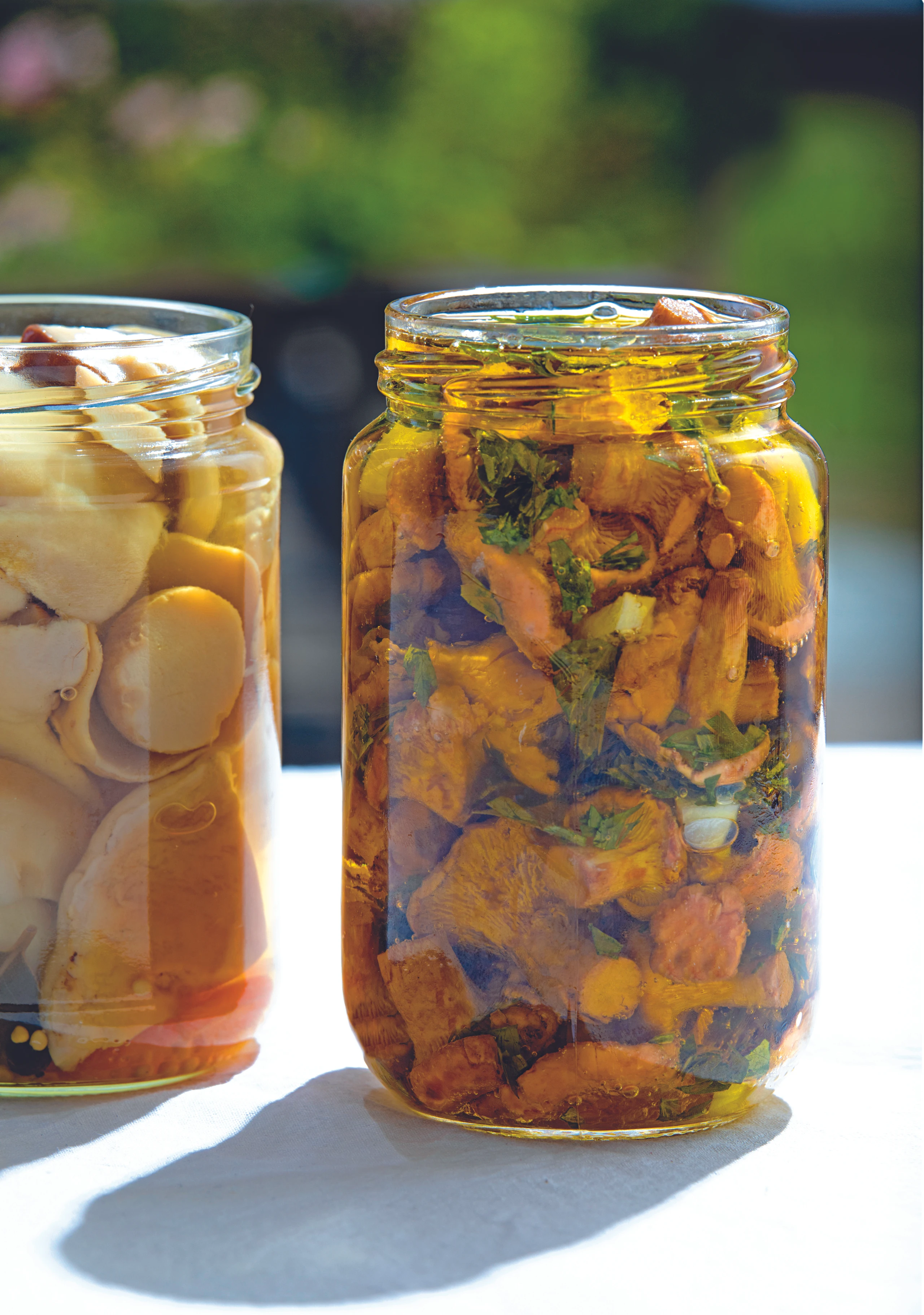 Eingelegte Steinpilze und Eierschwammerl