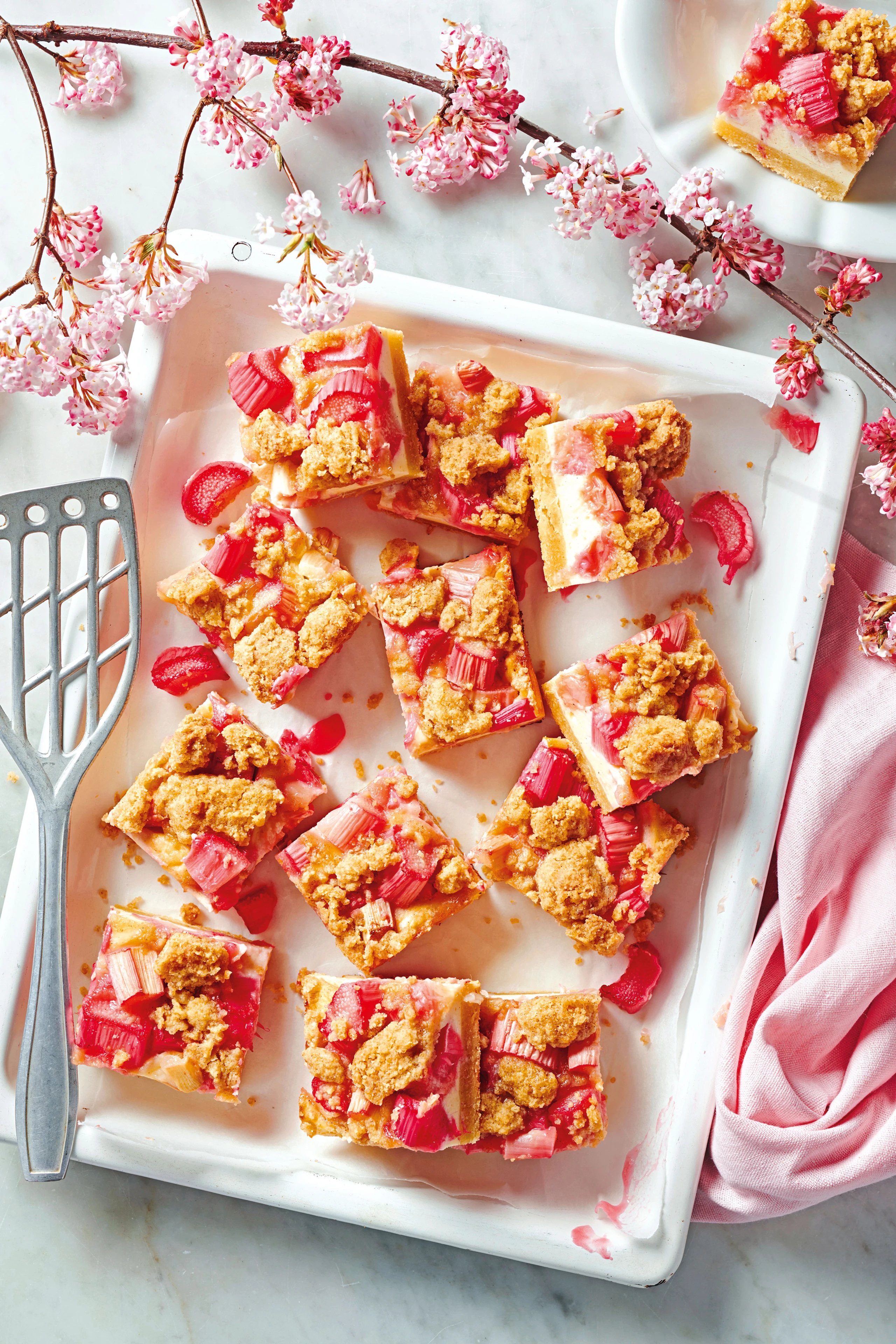 Rhabarber-Topfen-Blechkuchen