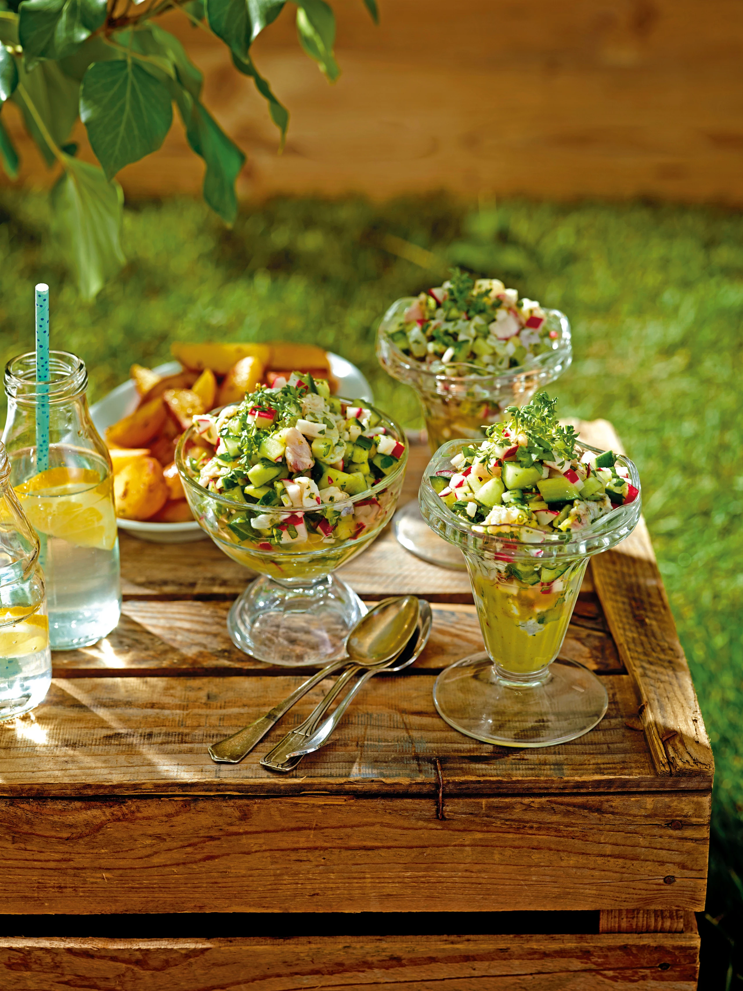 Zander-Ceviche mit Gurken und Radieschen auf Avocadocreme