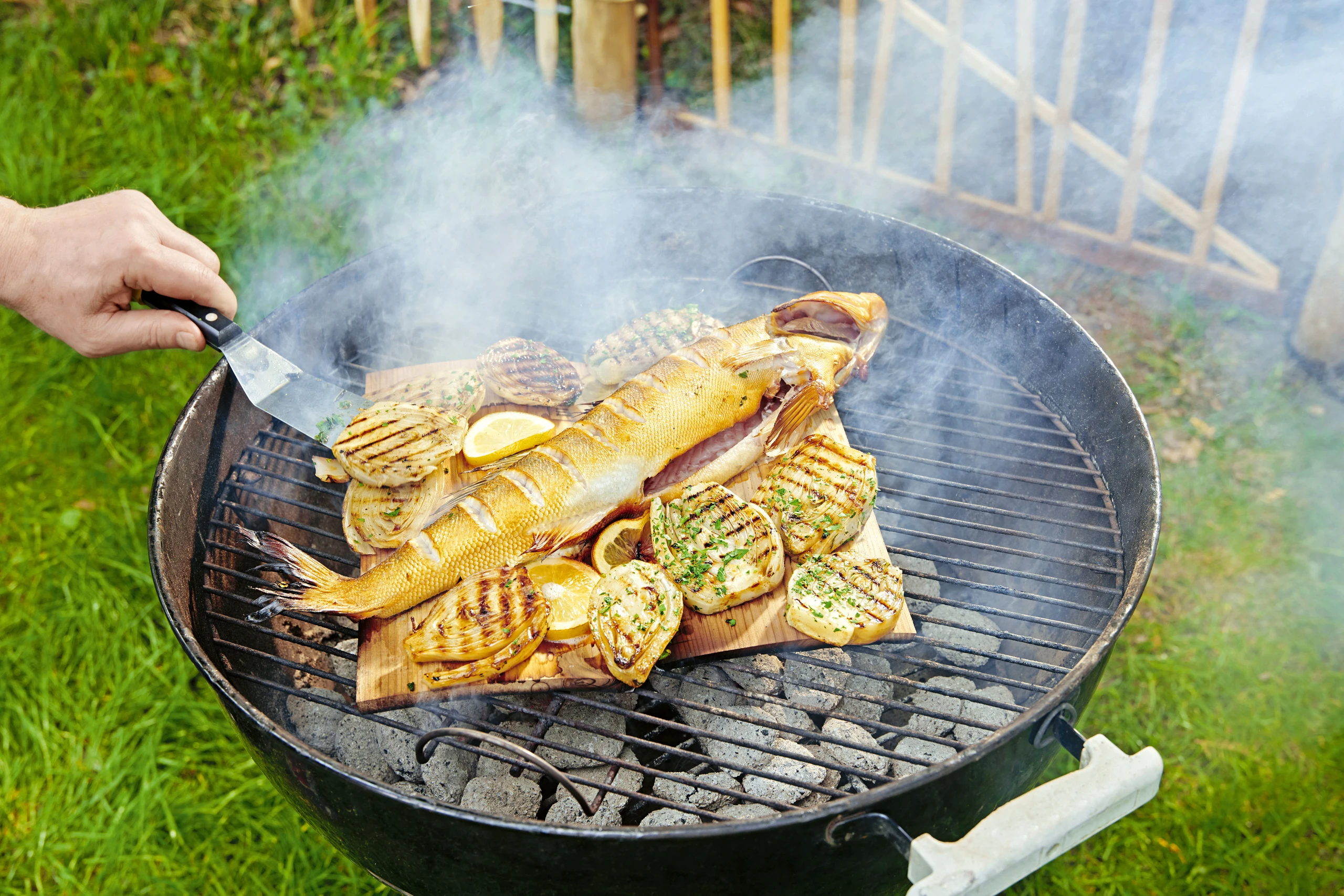 Zander auf dem Holzbrett gegrillt mit Petersil-Zitronensauce