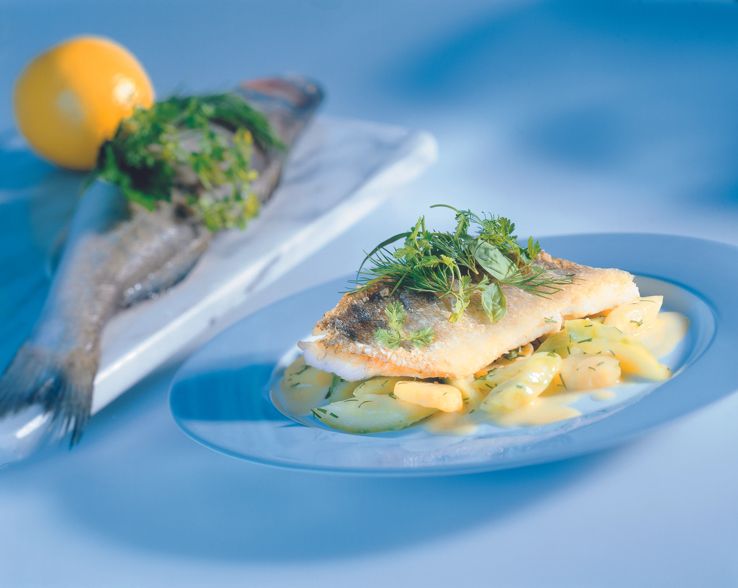 Gebratenes Zanderfilet auf Gurken-Erdäpfeln mit Kräutersalat