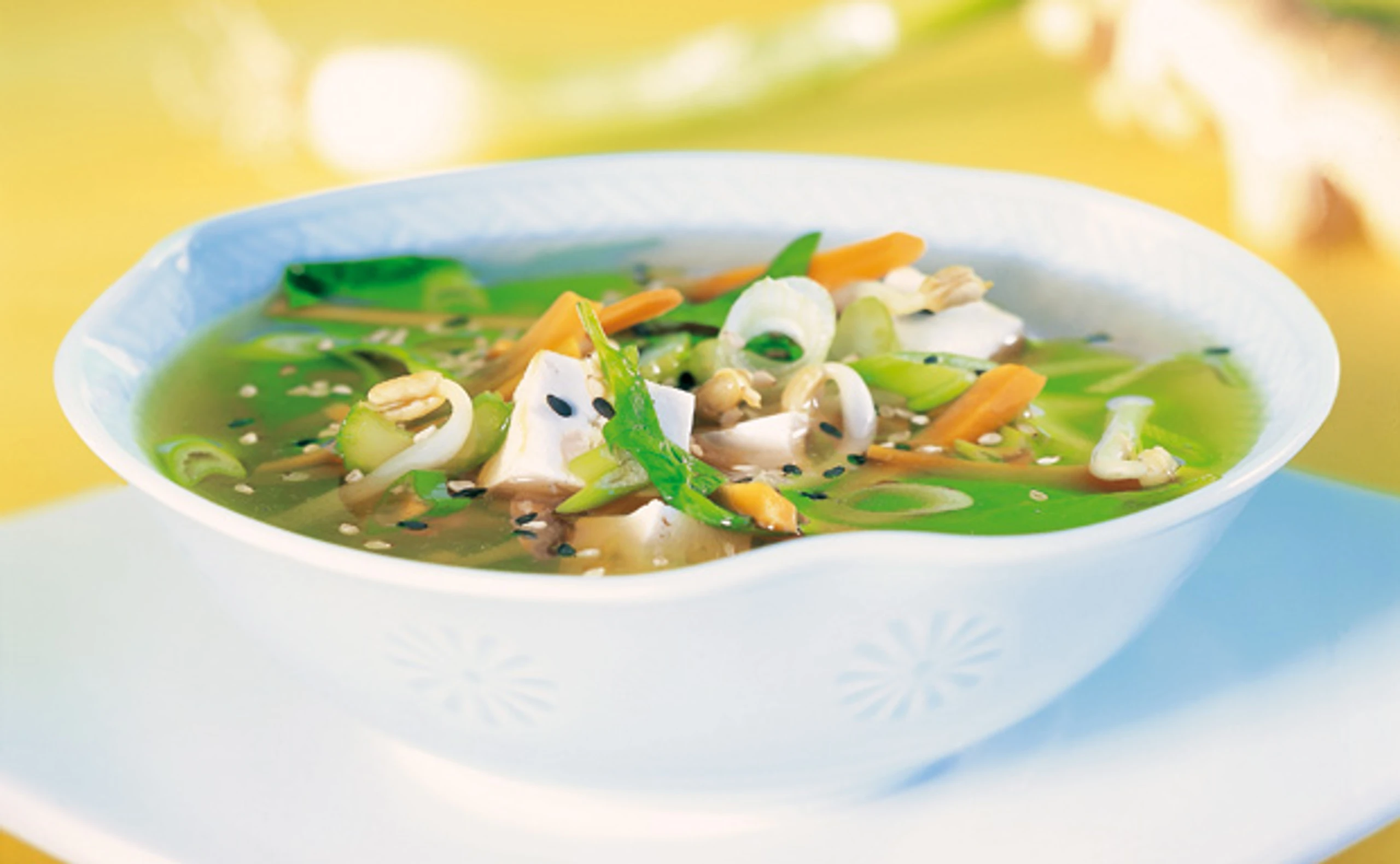 Chinesische Gemüsesuppe mit Sprossen und Tofu