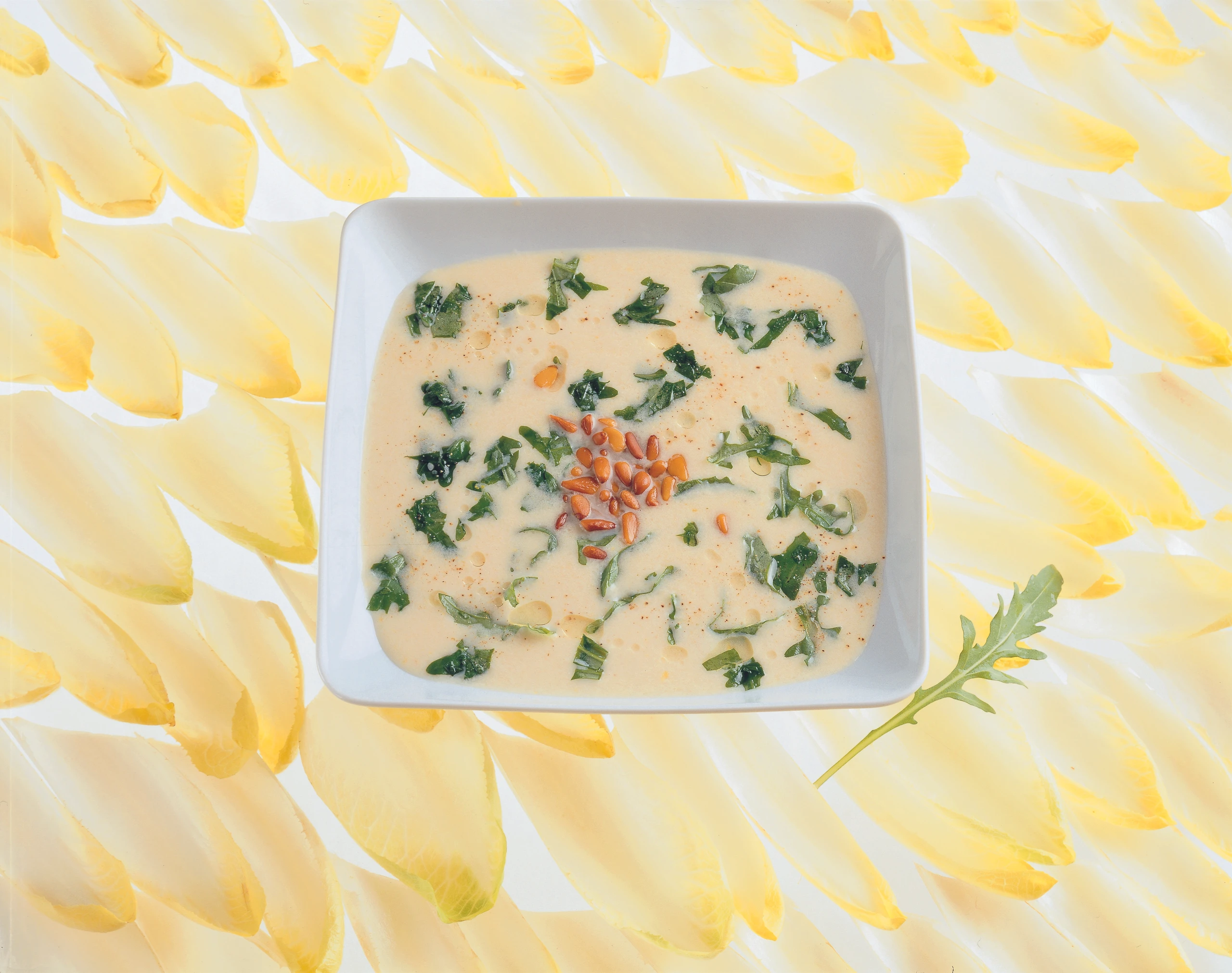 Chicoréesuppe mit Rucola und Pignoli