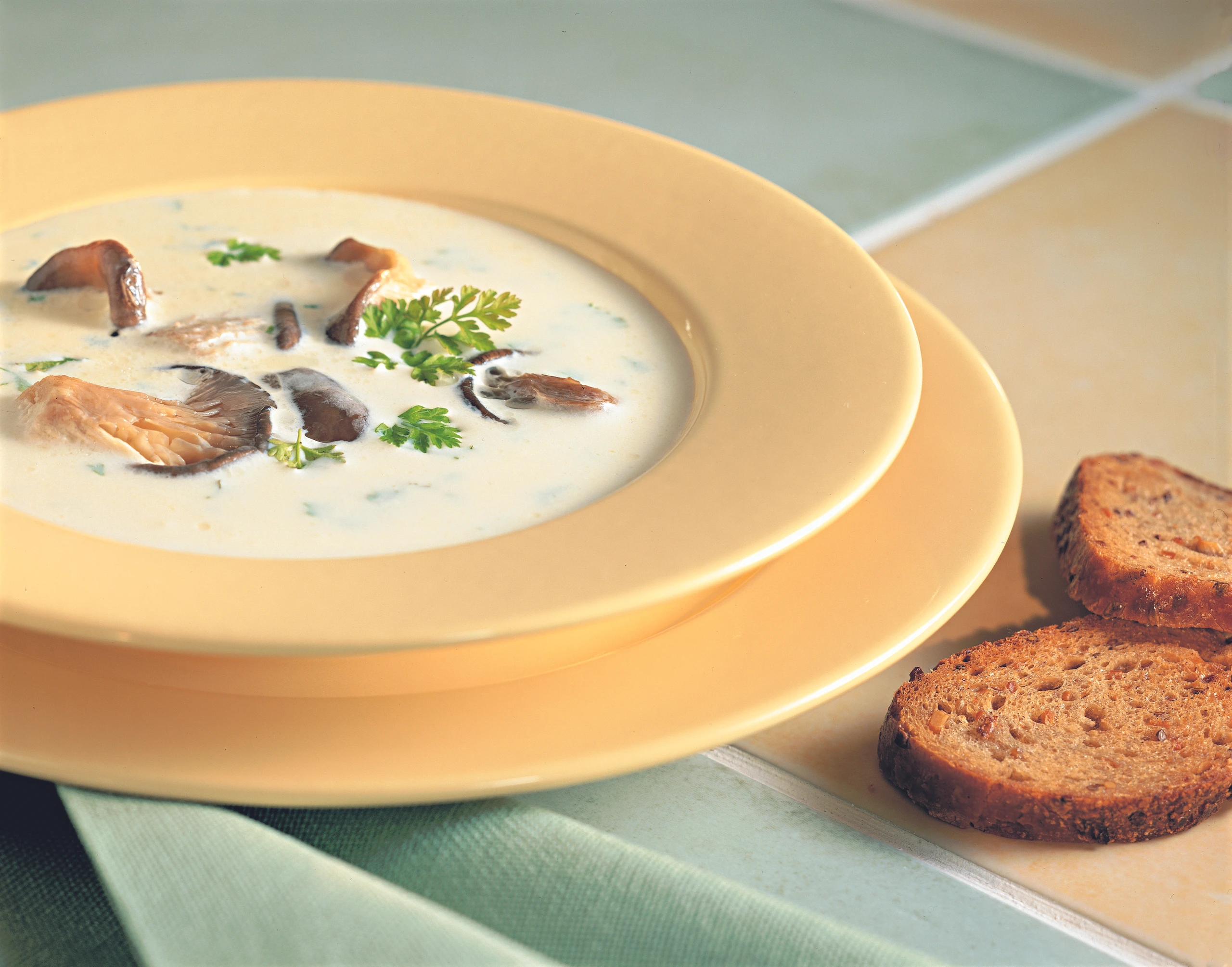 Austernpilzsuppe mit Kräutern