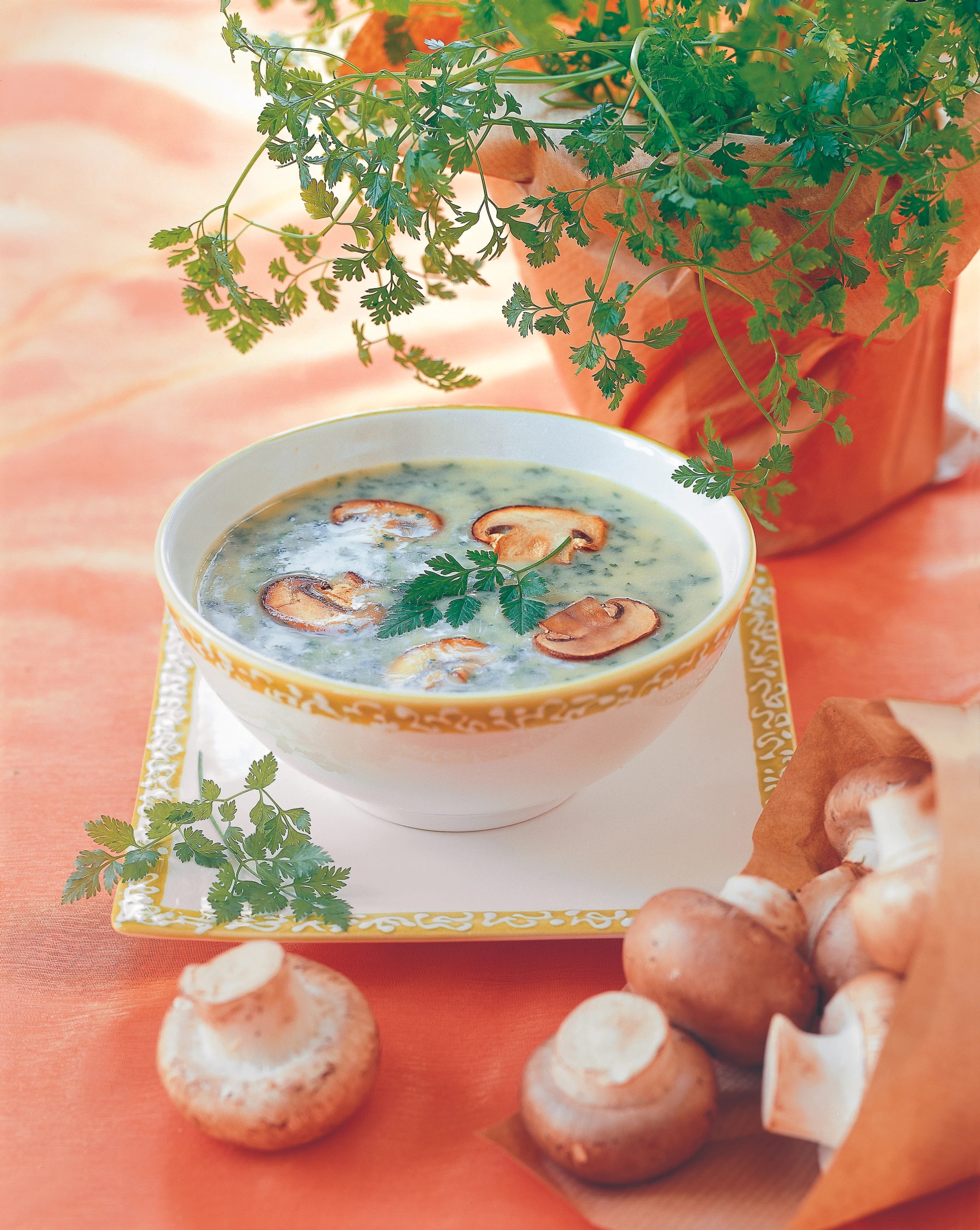 Kerbelsuppe mit Pilzen